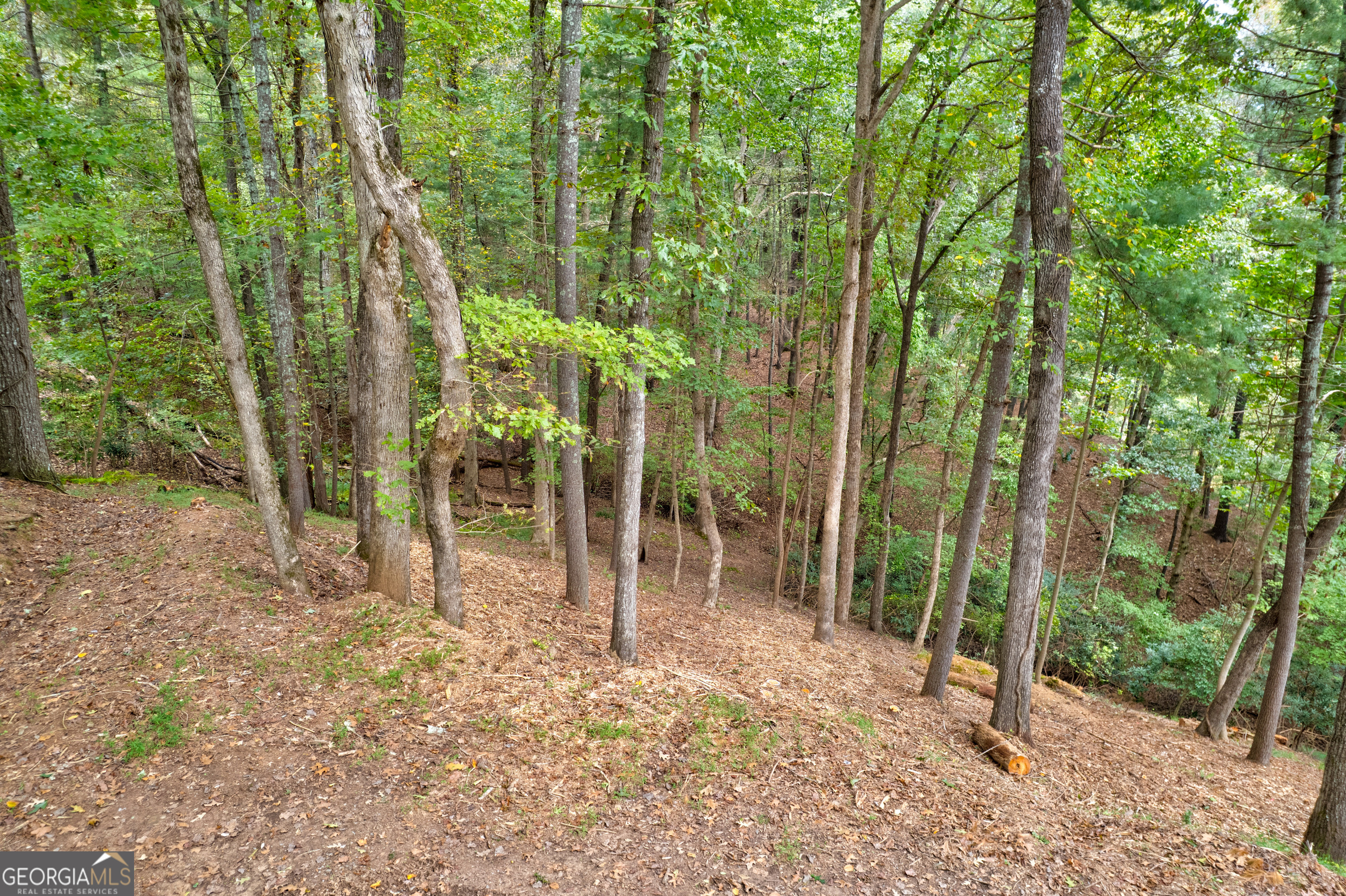 Lot 99r Ponca Court Ellijay GA 30540