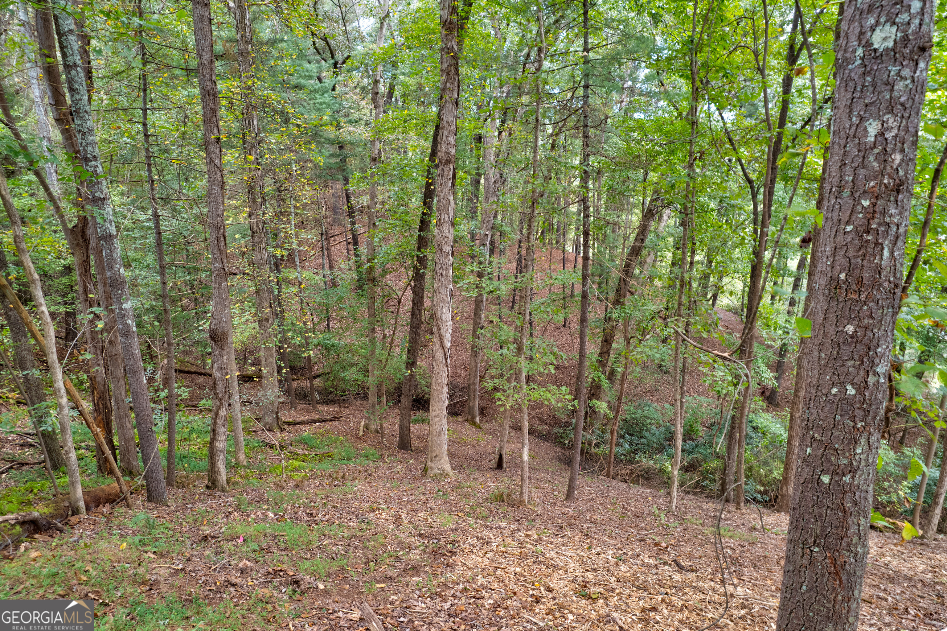 Lot 99r Ponca Court Ellijay GA 30540