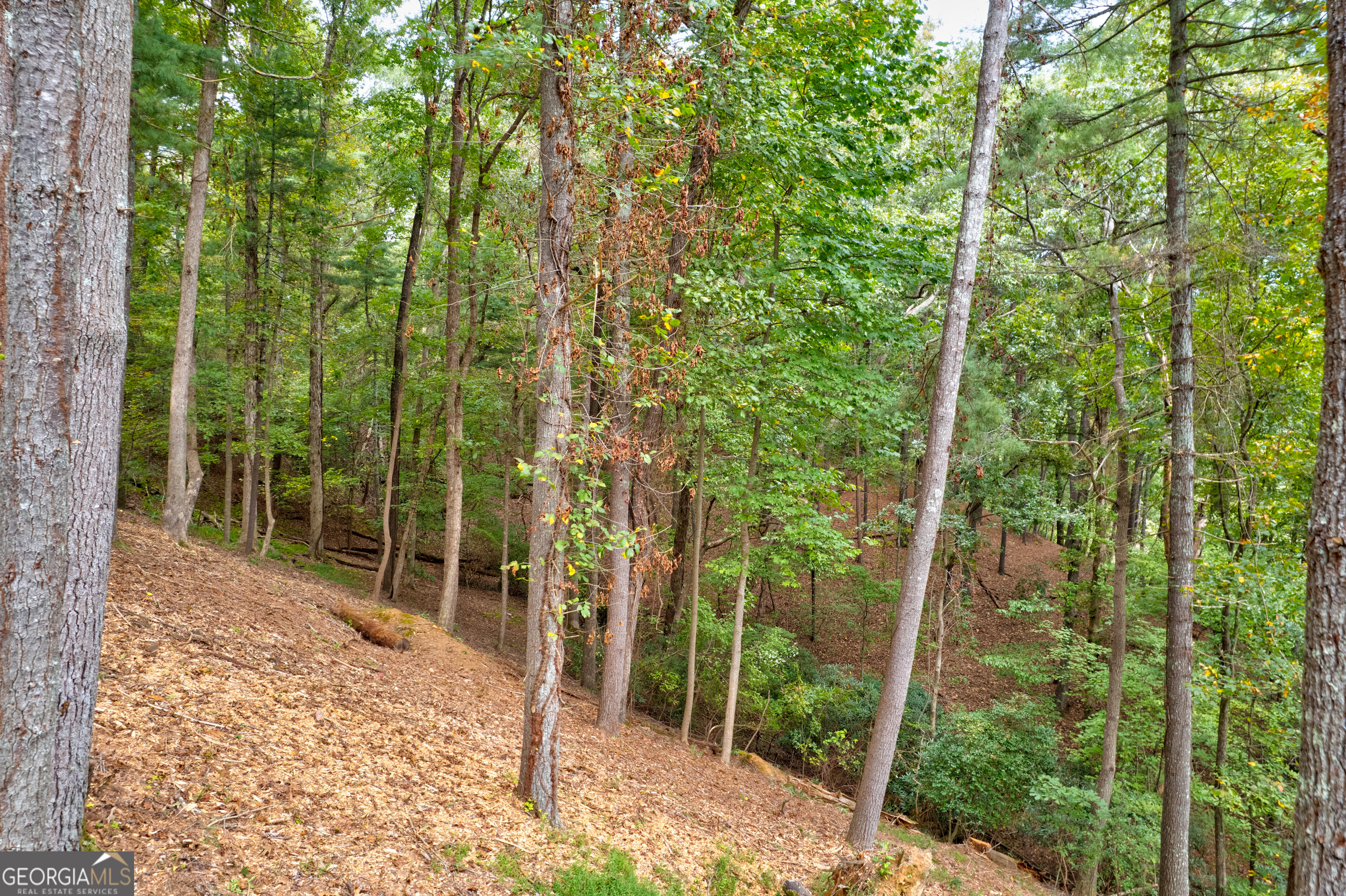 Lot 99r Ponca Court Ellijay GA 30540