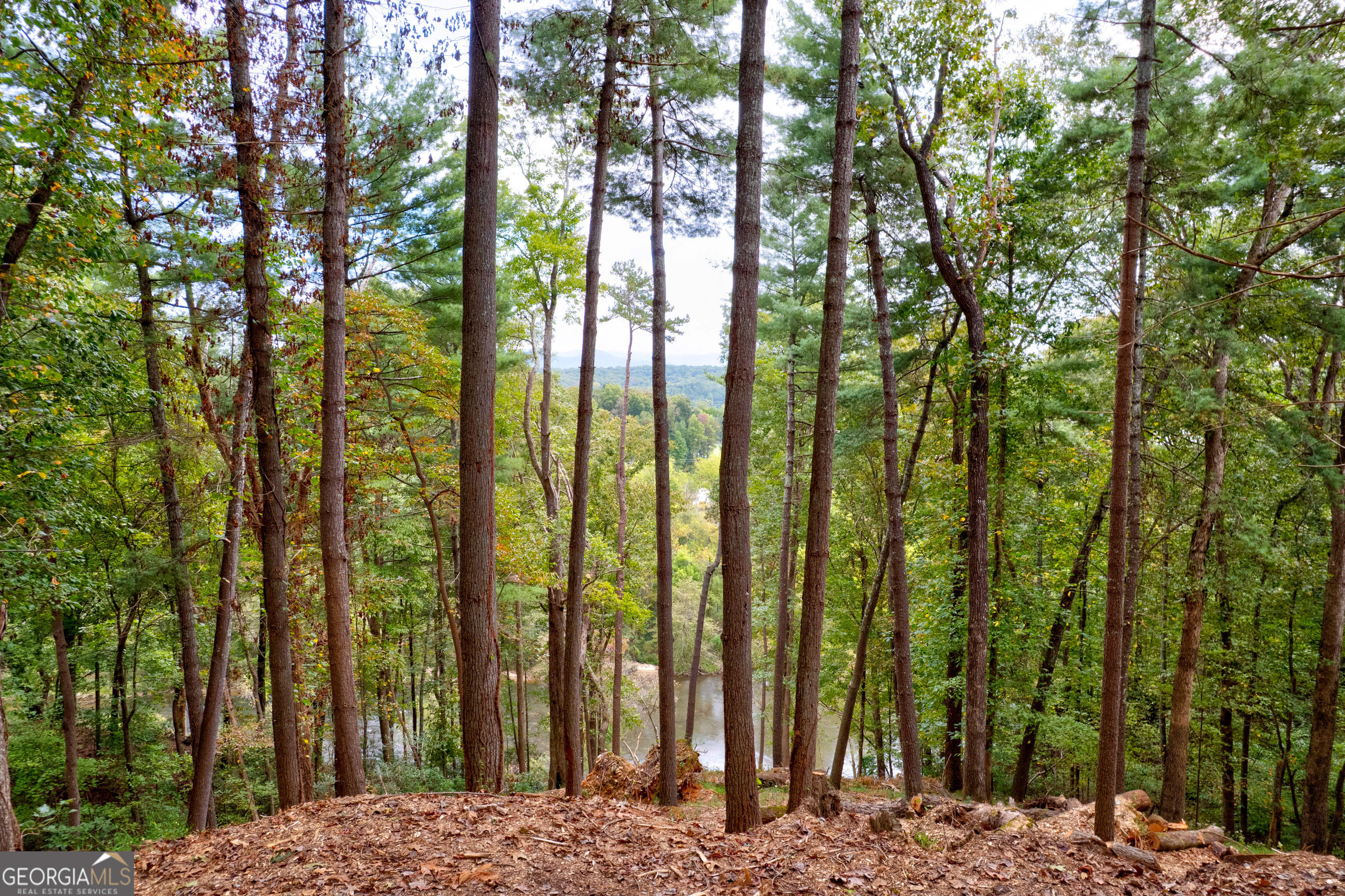 Lot 99r Ponca Court Ellijay GA 30540