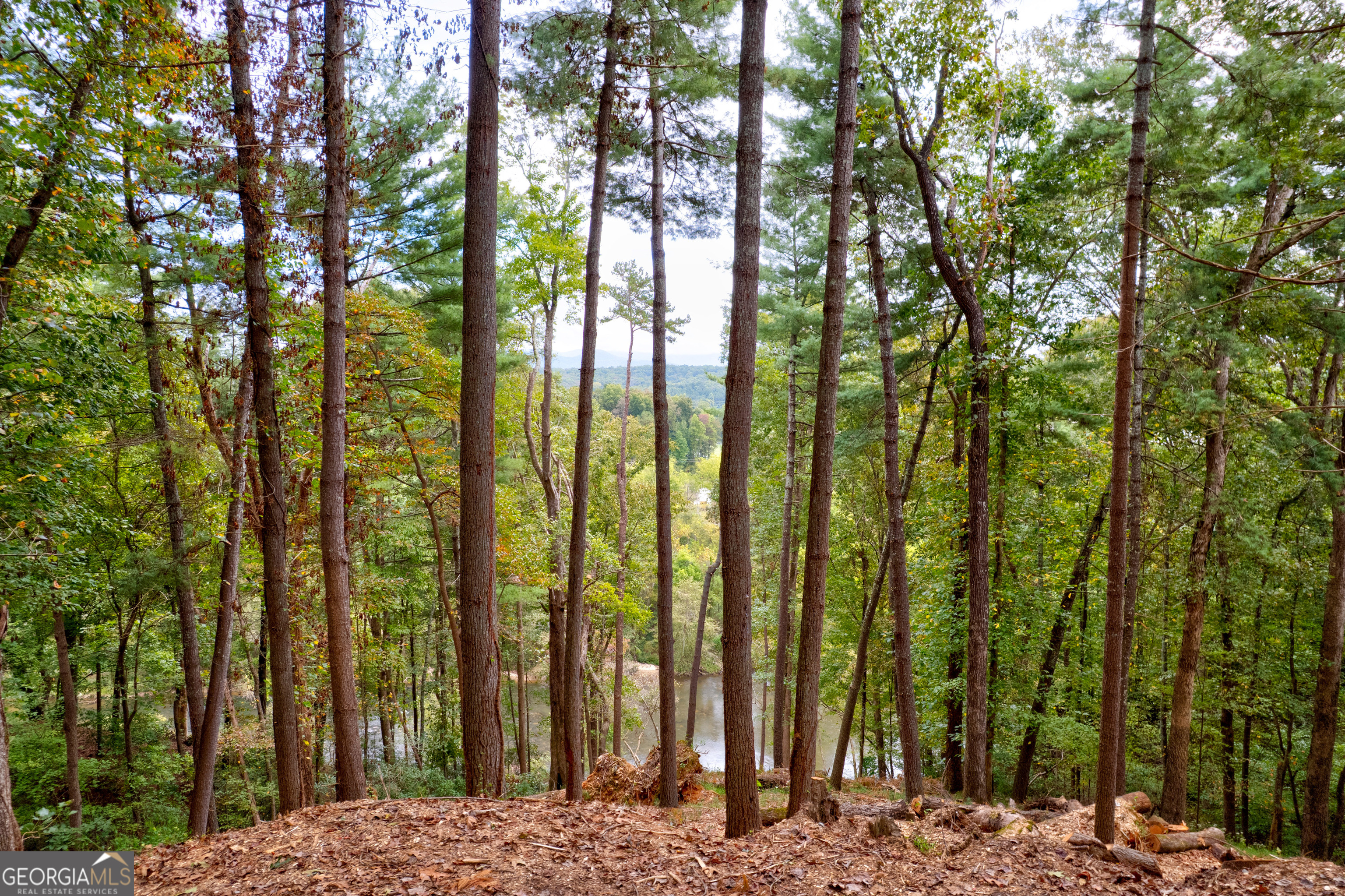 Lot 99r Ponca Court Ellijay GA 30540