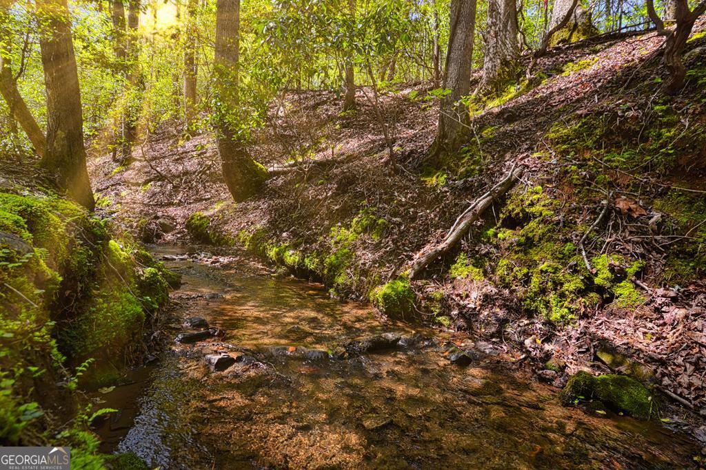 Lot 99r Ponca Court Ellijay GA 30540