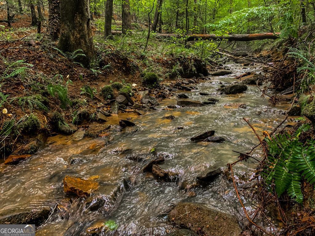 Lot 99r Ponca Court Ellijay GA 30540