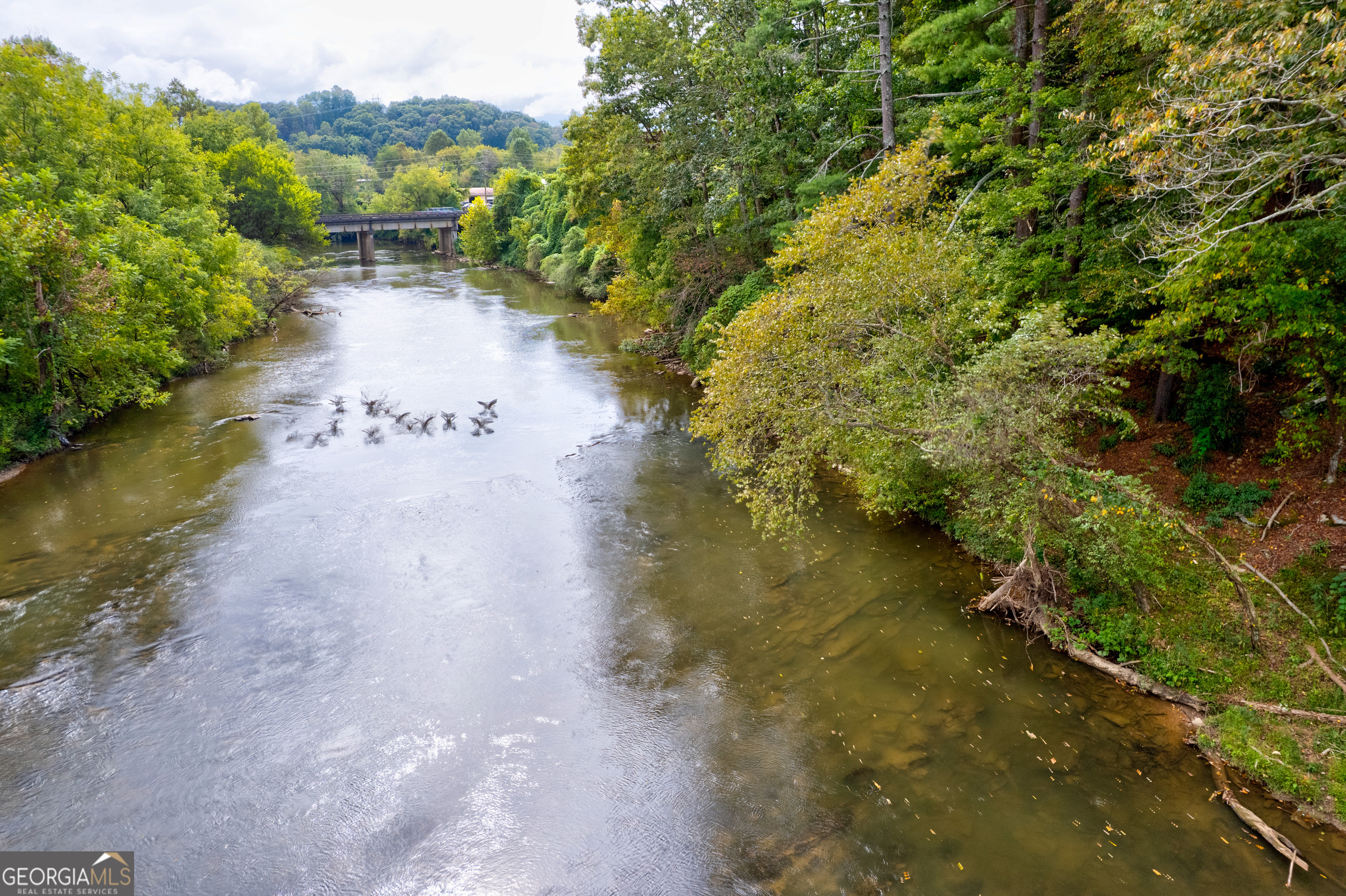 Lot 99r Ponca Court Ellijay GA 30540