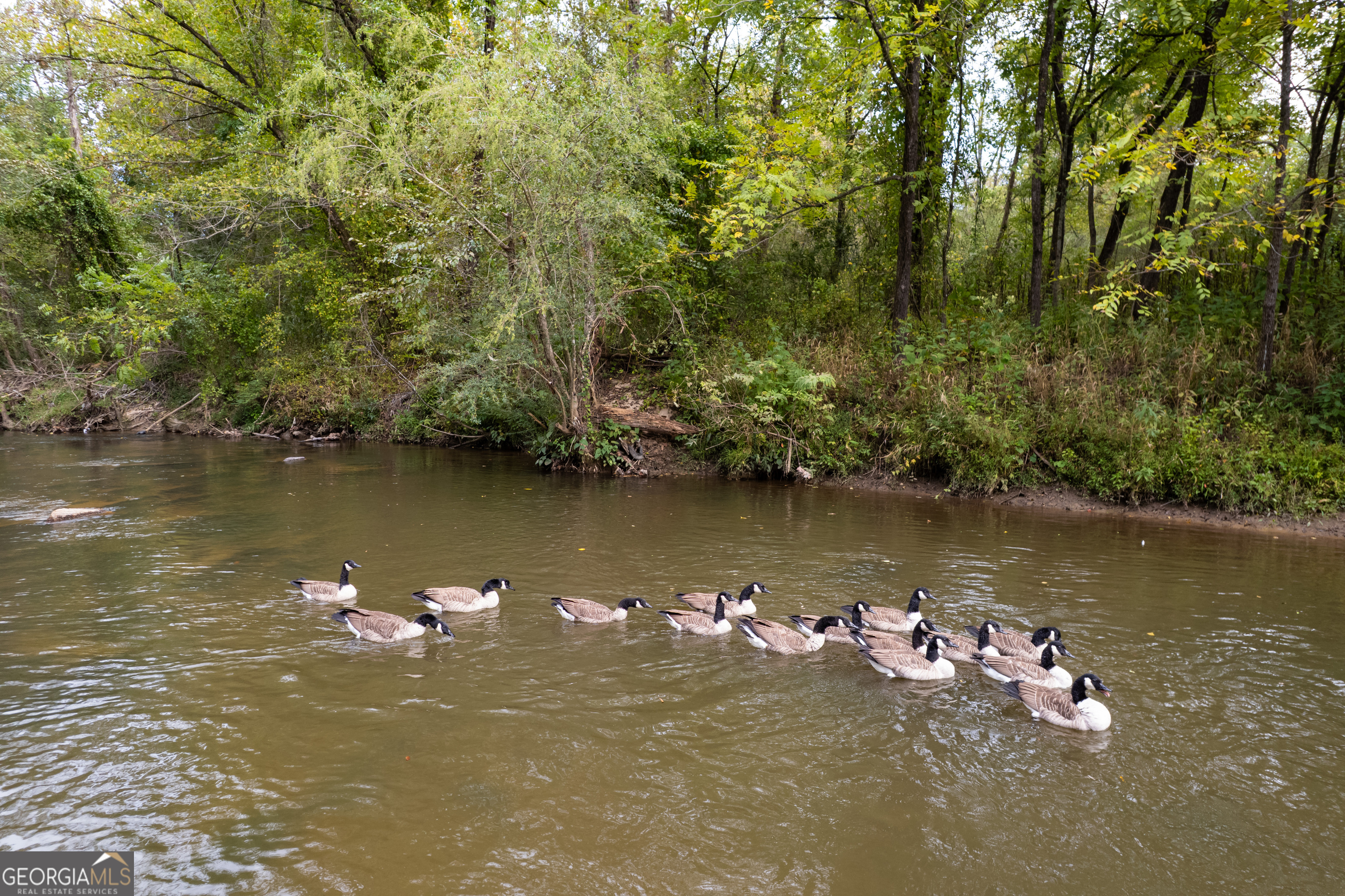 Lot 99r Ponca Court Ellijay GA 30540