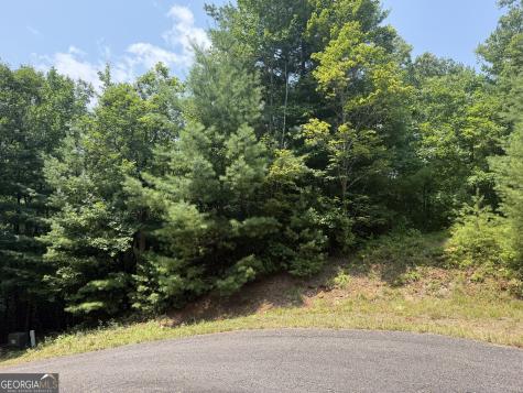 0 Whisper Ridge Court Hiawassee GA 30546