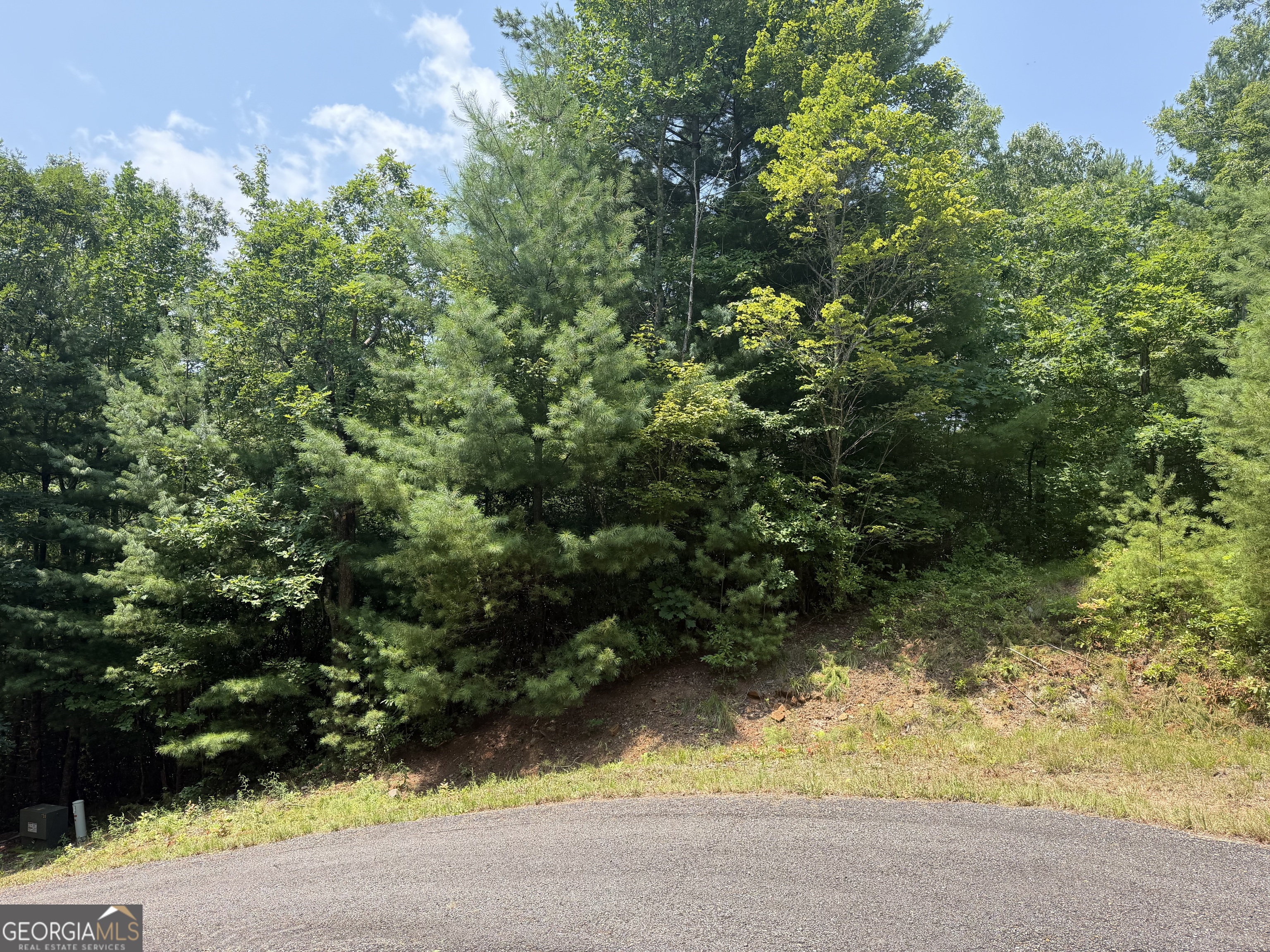 0 Whisper Ridge Court Hiawassee GA 30546