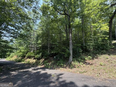 0 Whisper Ridge Court Hiawassee GA 30546