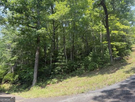 0 Whisper Ridge Court Hiawassee GA 30546