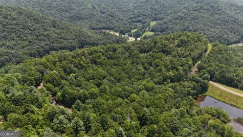 0 Whisper Ridge Court Hiawassee GA 30546