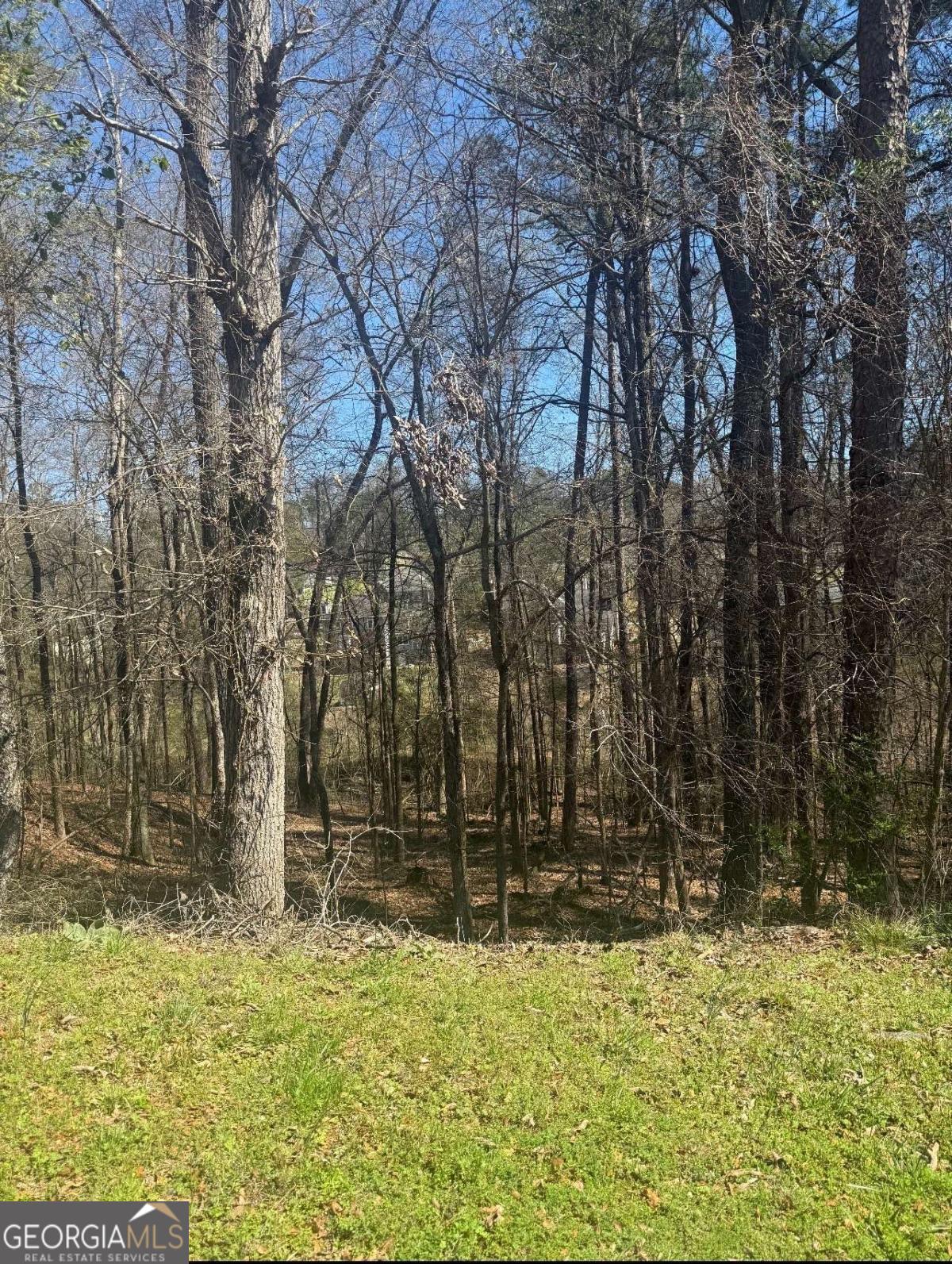 3740 Mountain Cove Road Snellville GA 30039