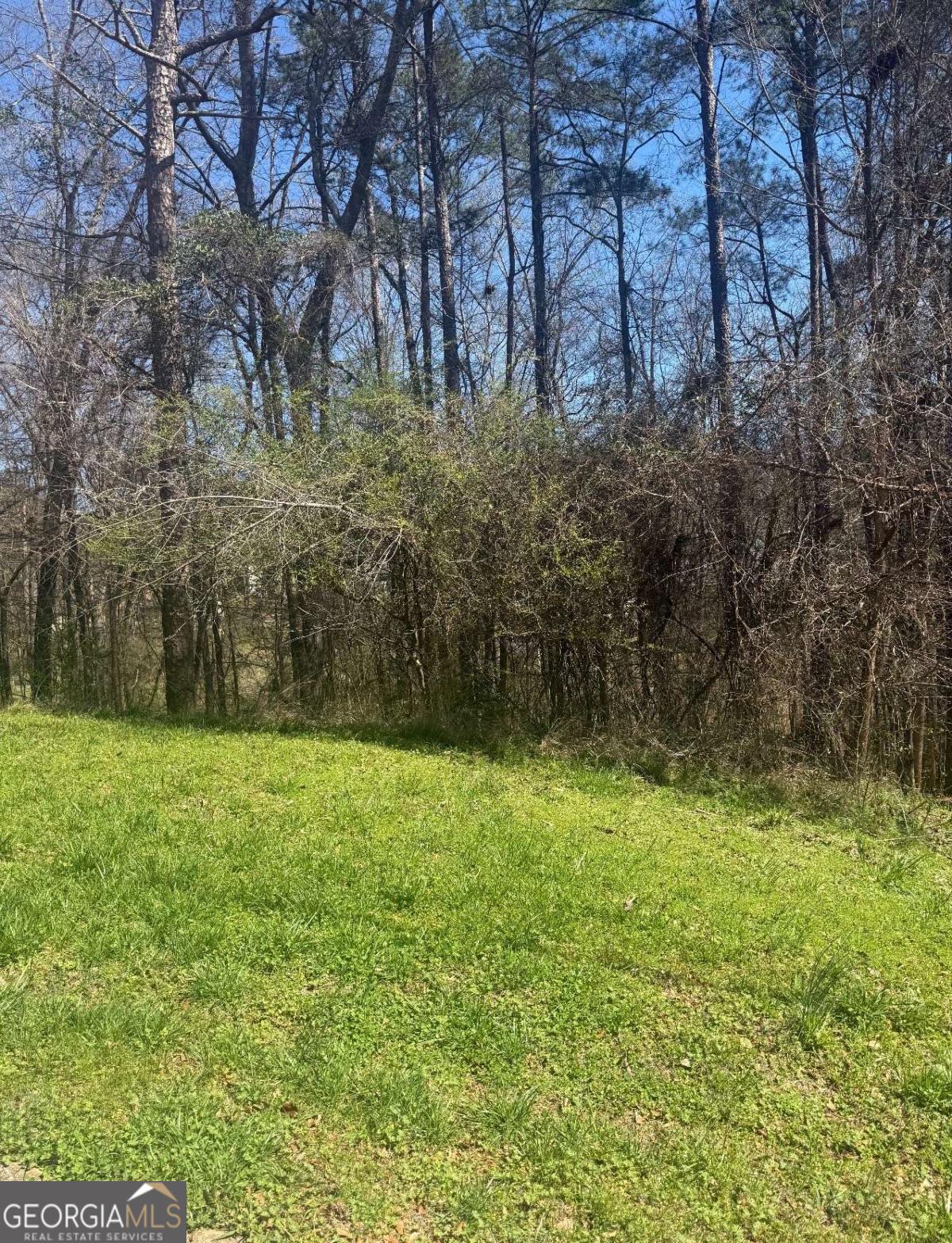 3740 Mountain Cove Road Snellville GA 30039
