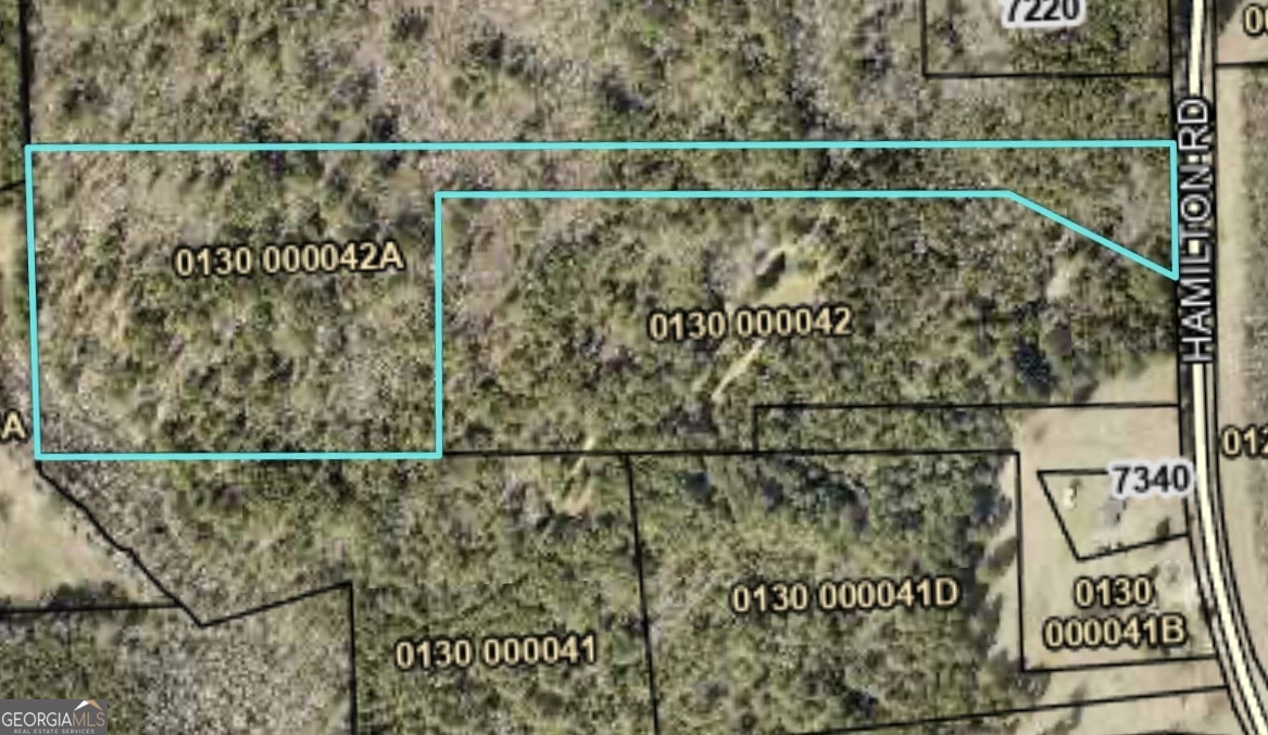 0 Hamilton Road Pine Mountain GA 31822