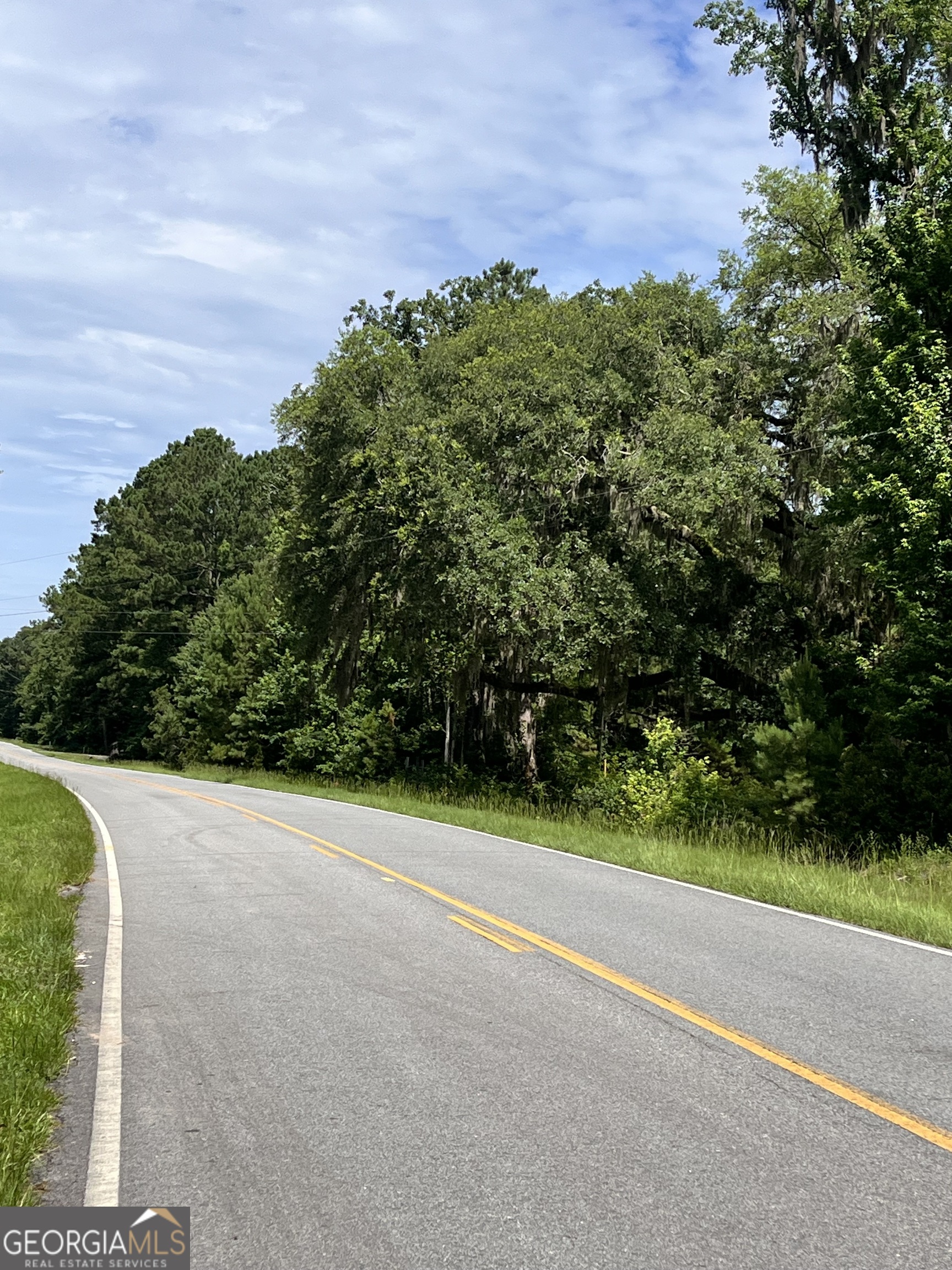 0 Sandy Run Road Riceboro GA 31323