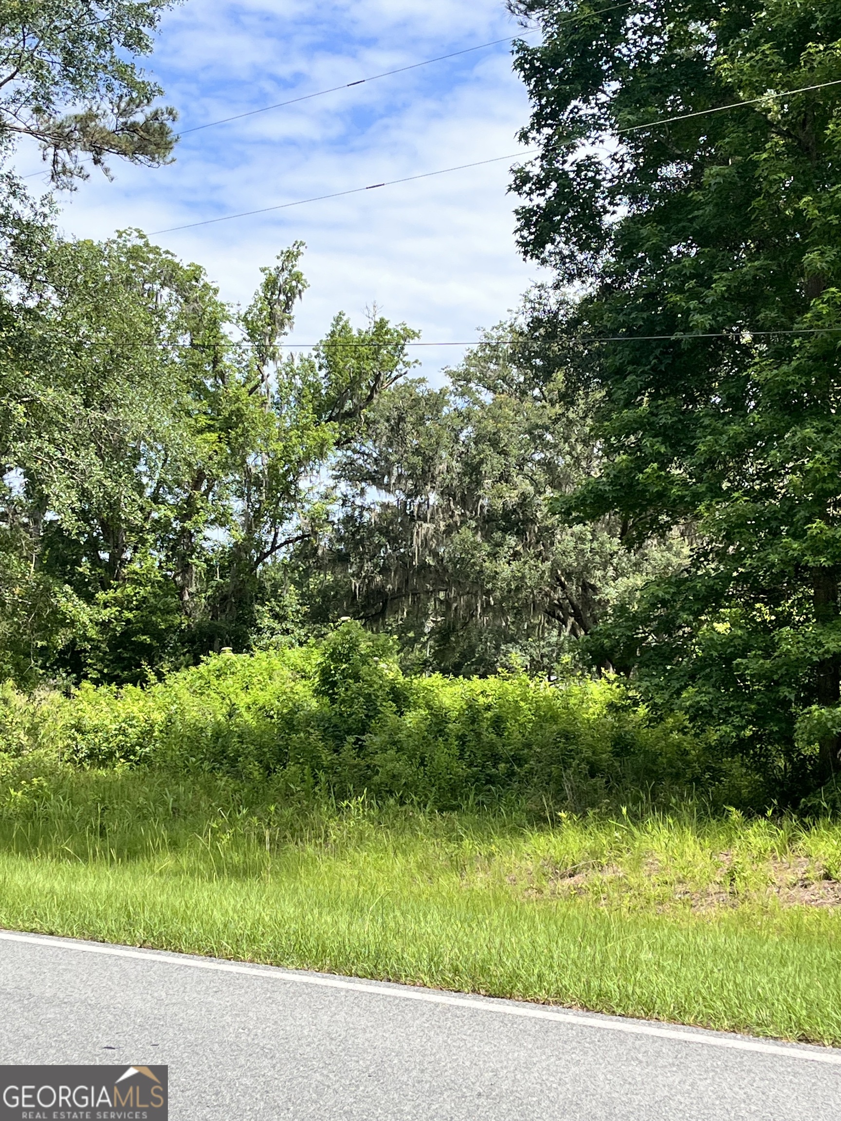 0 Sandy Run Road Riceboro GA 31323
