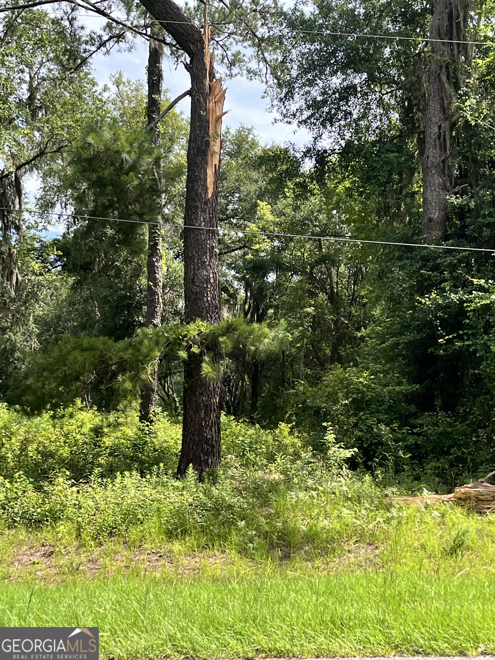 0 Sandy Run Road Riceboro GA 31323