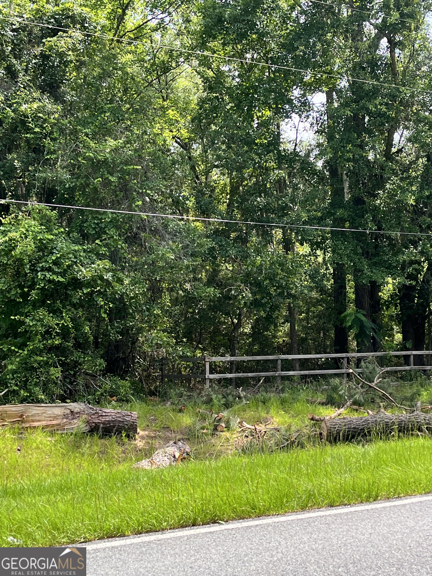 0 Sandy Run Road Riceboro GA 31323