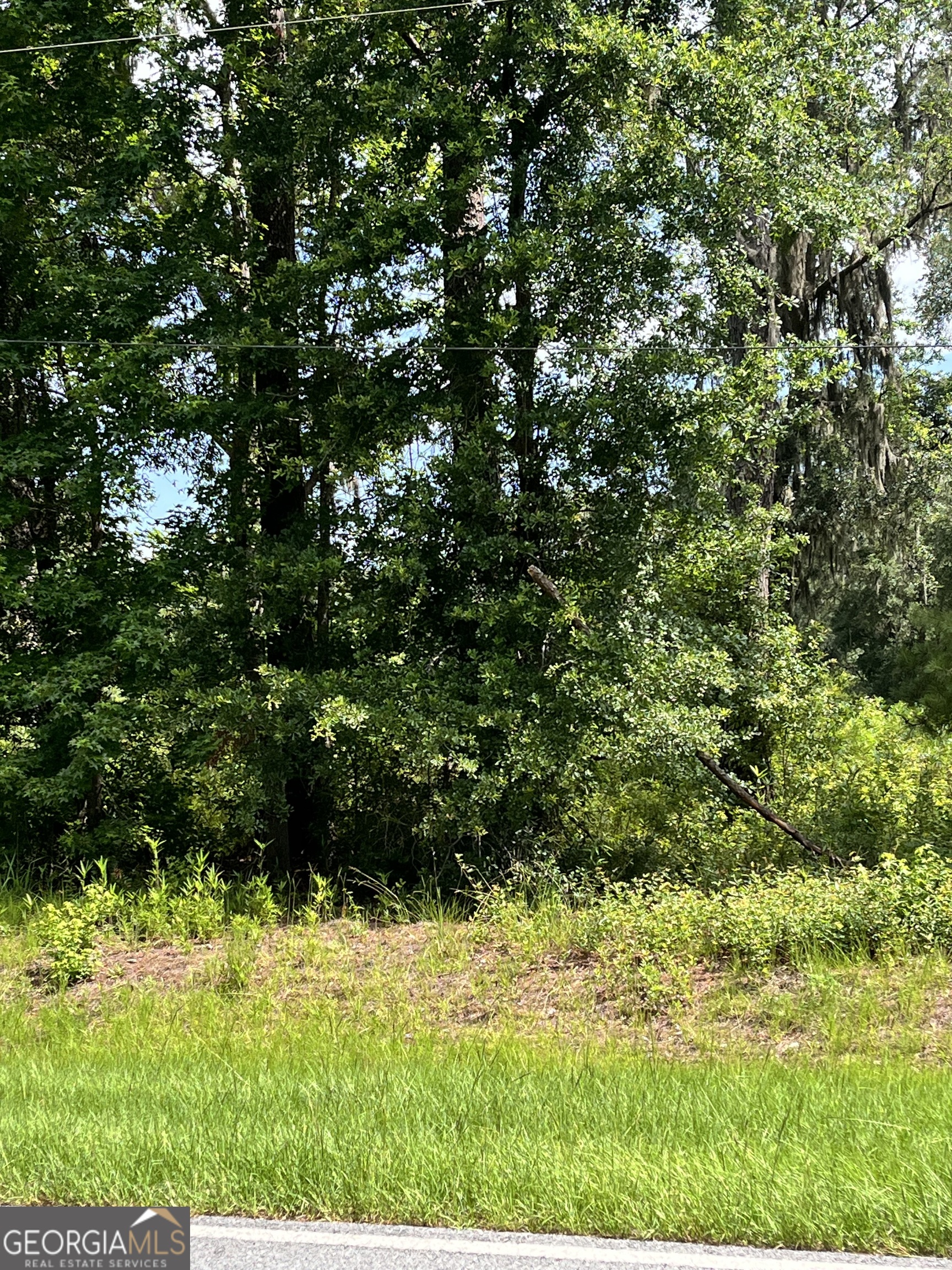 0 Sandy Run Road Riceboro GA 31323