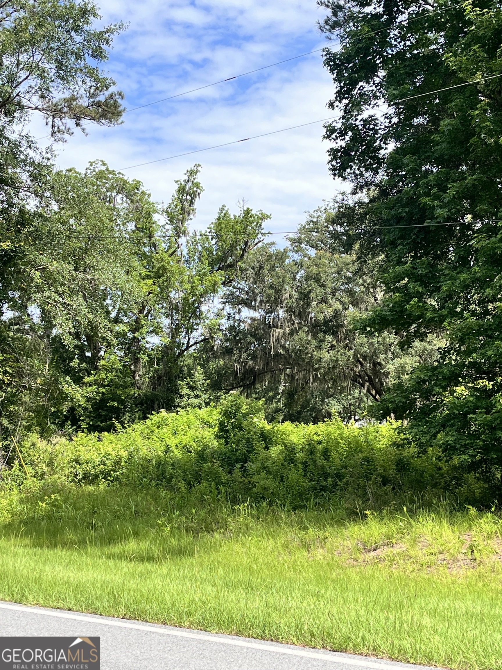 0 Sandy Run Road Riceboro GA 31323