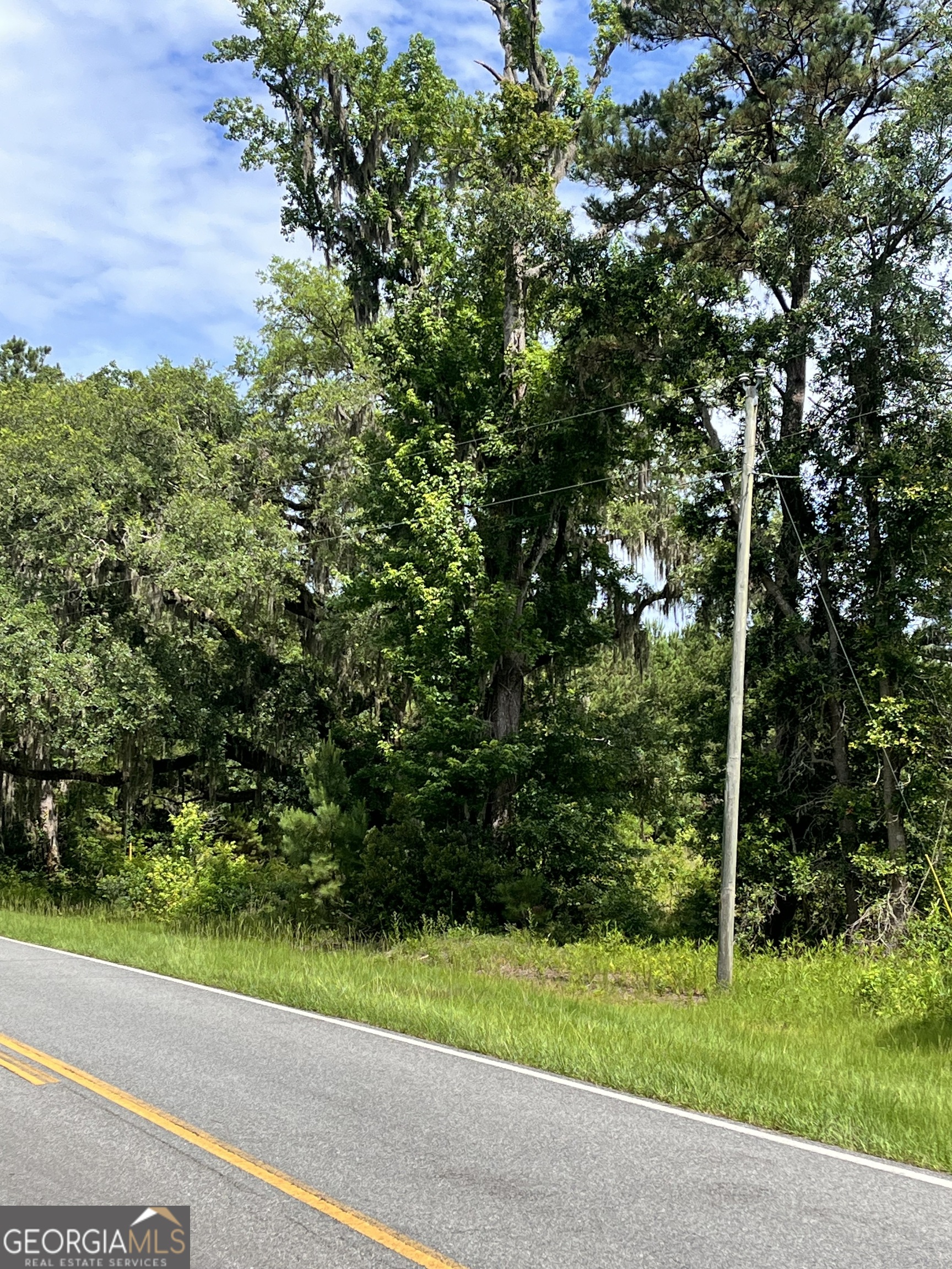 0 Sandy Run Road Riceboro GA 31323