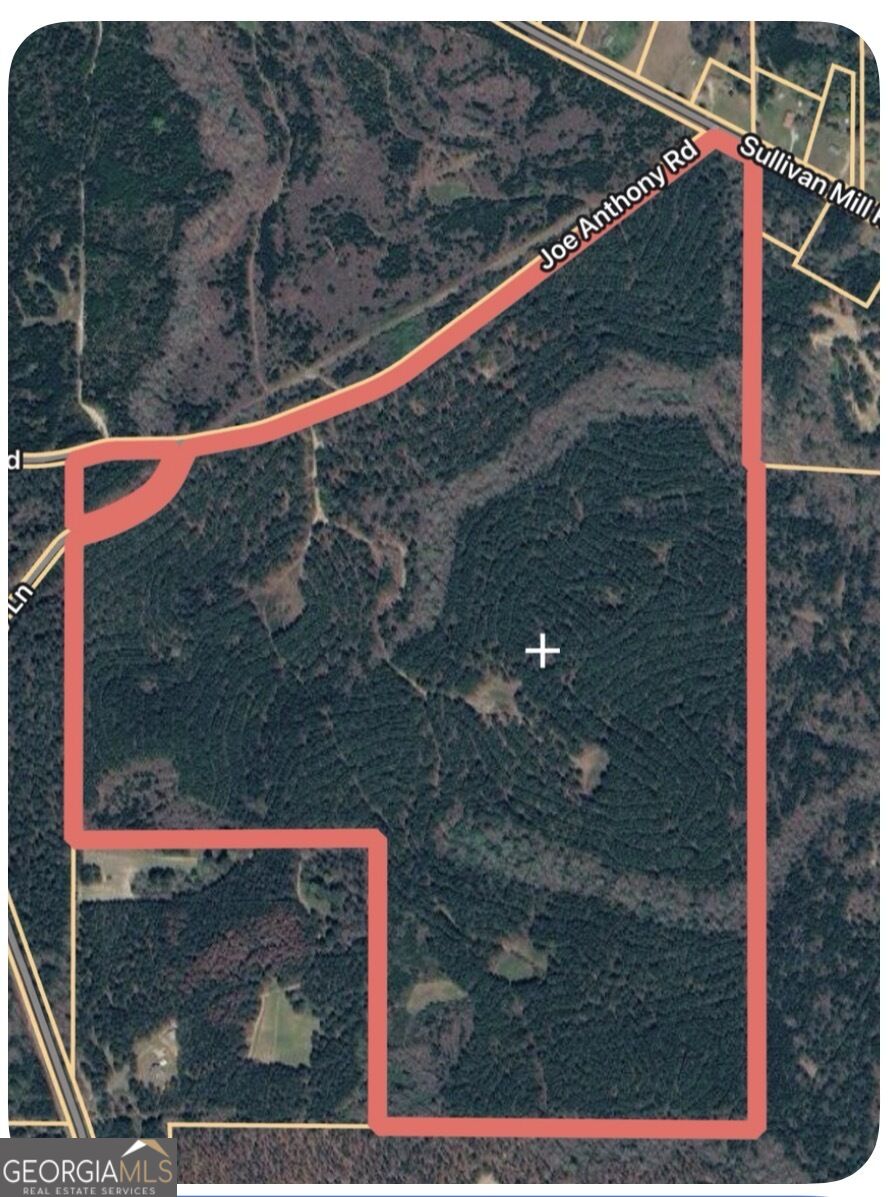 0 Joe Anthony Road Senoia GA 30276