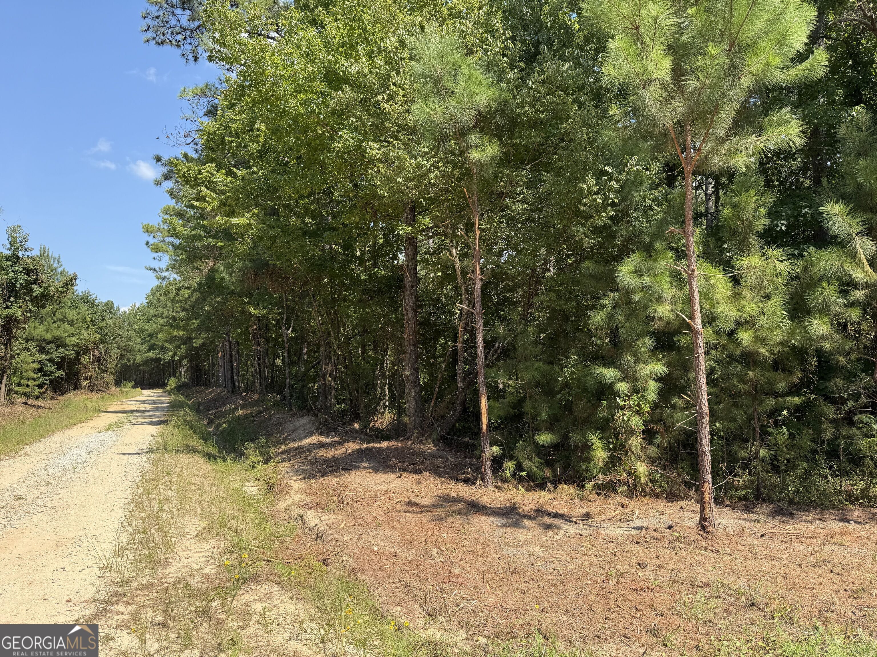 0 Joe Anthony Road Senoia GA 30276