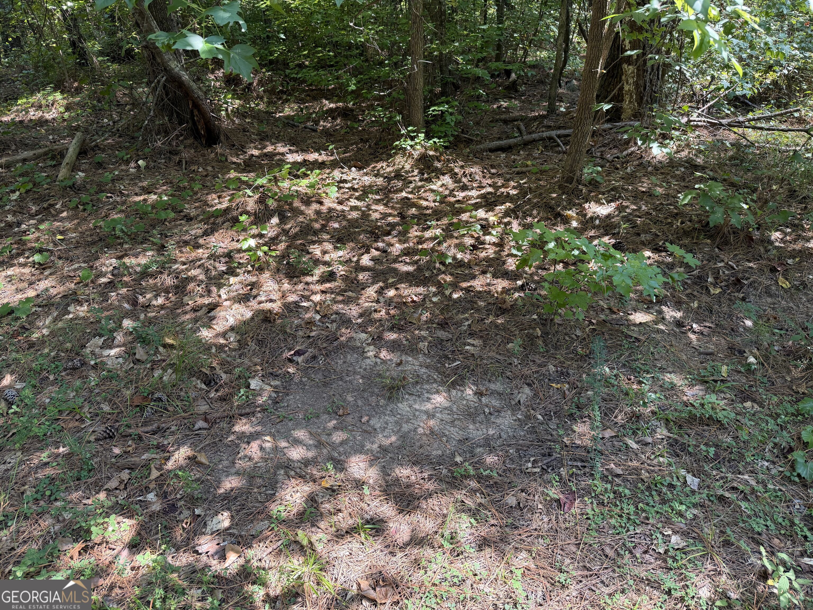 0 Joe Anthony Road Senoia GA 30276