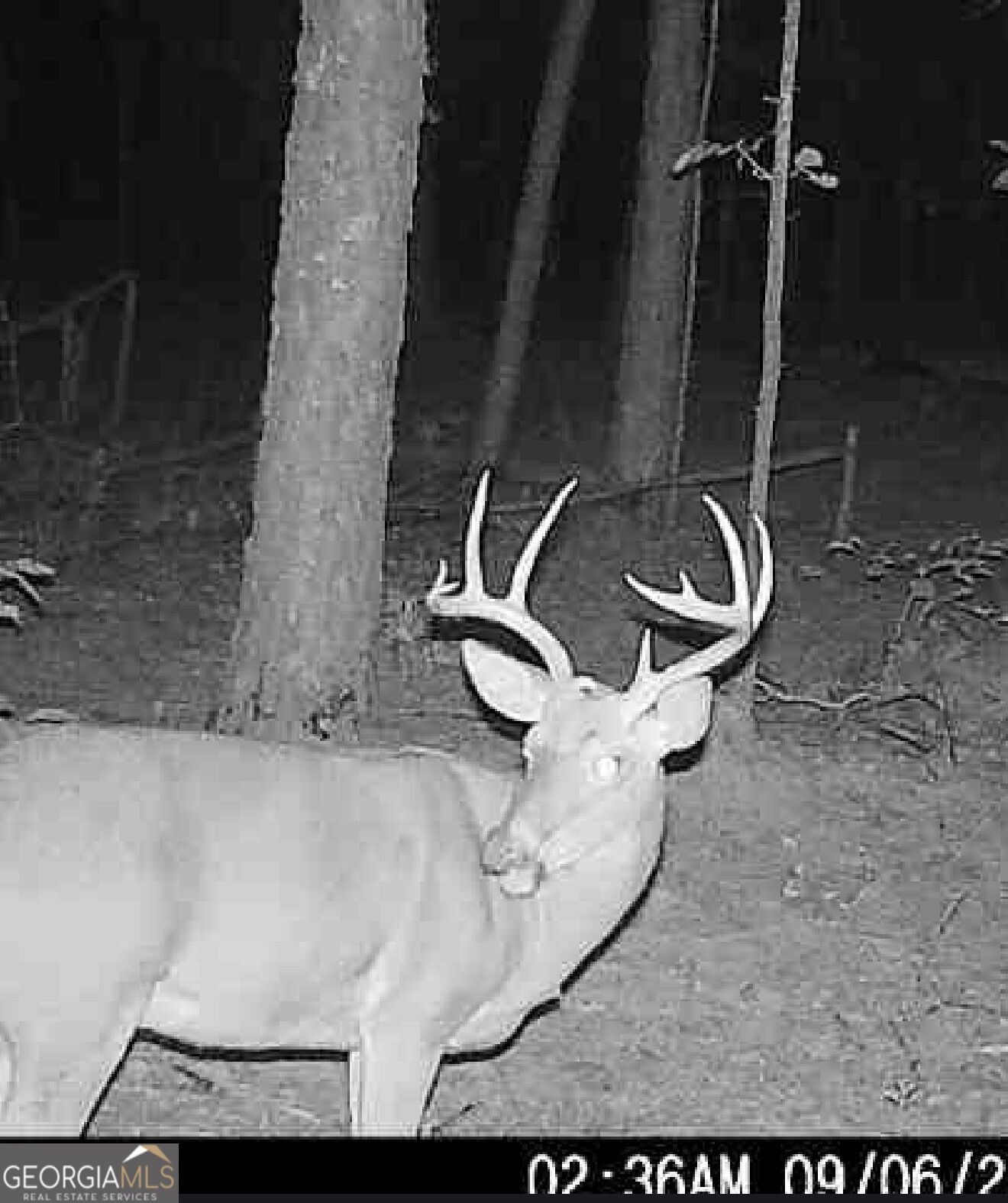 0 Joe Anthony Road Senoia GA 30276