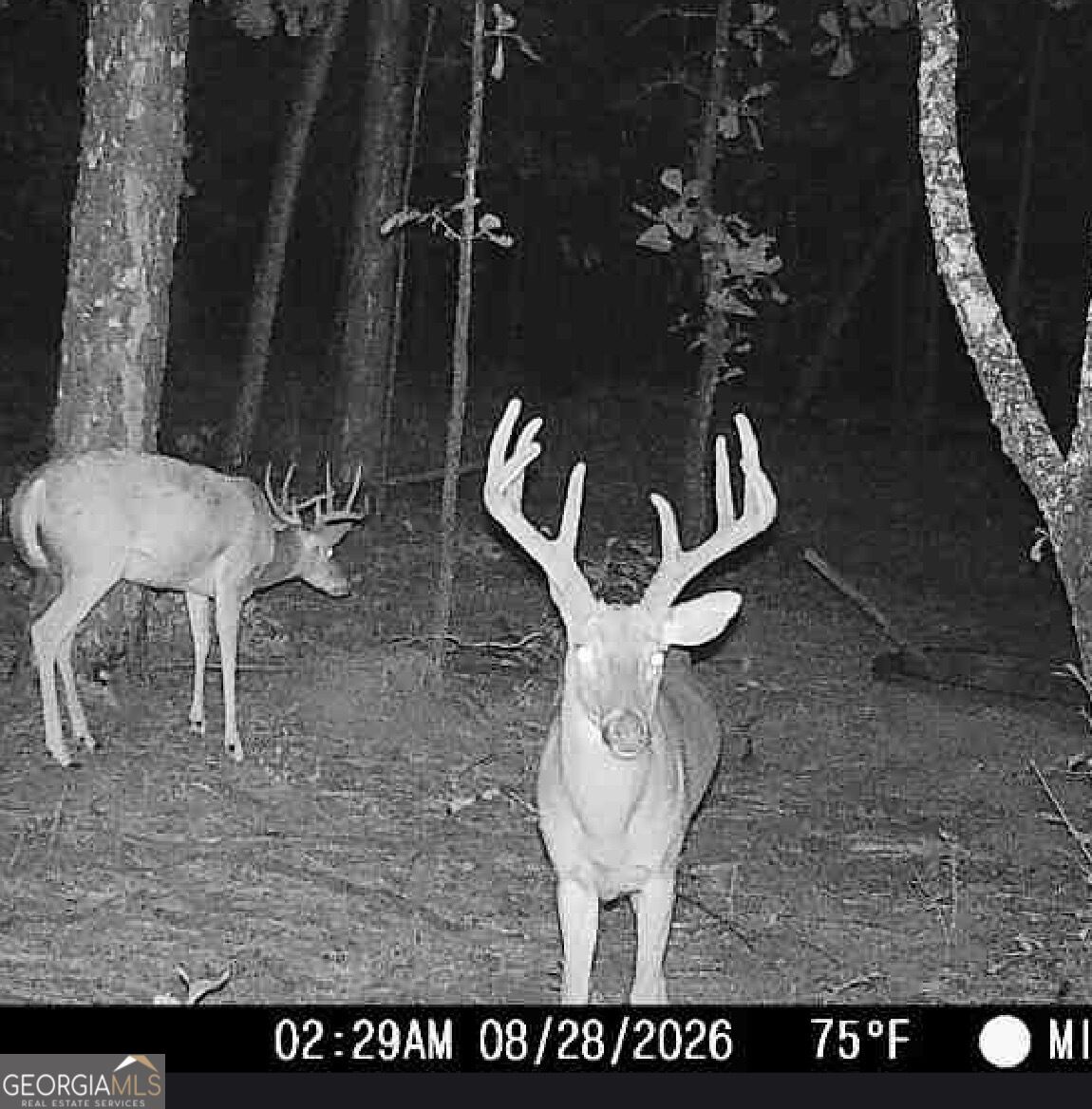 0 Joe Anthony Road Senoia GA 30276