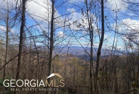 309 Burnt Mountain Ridge Road Jasper GA 30143