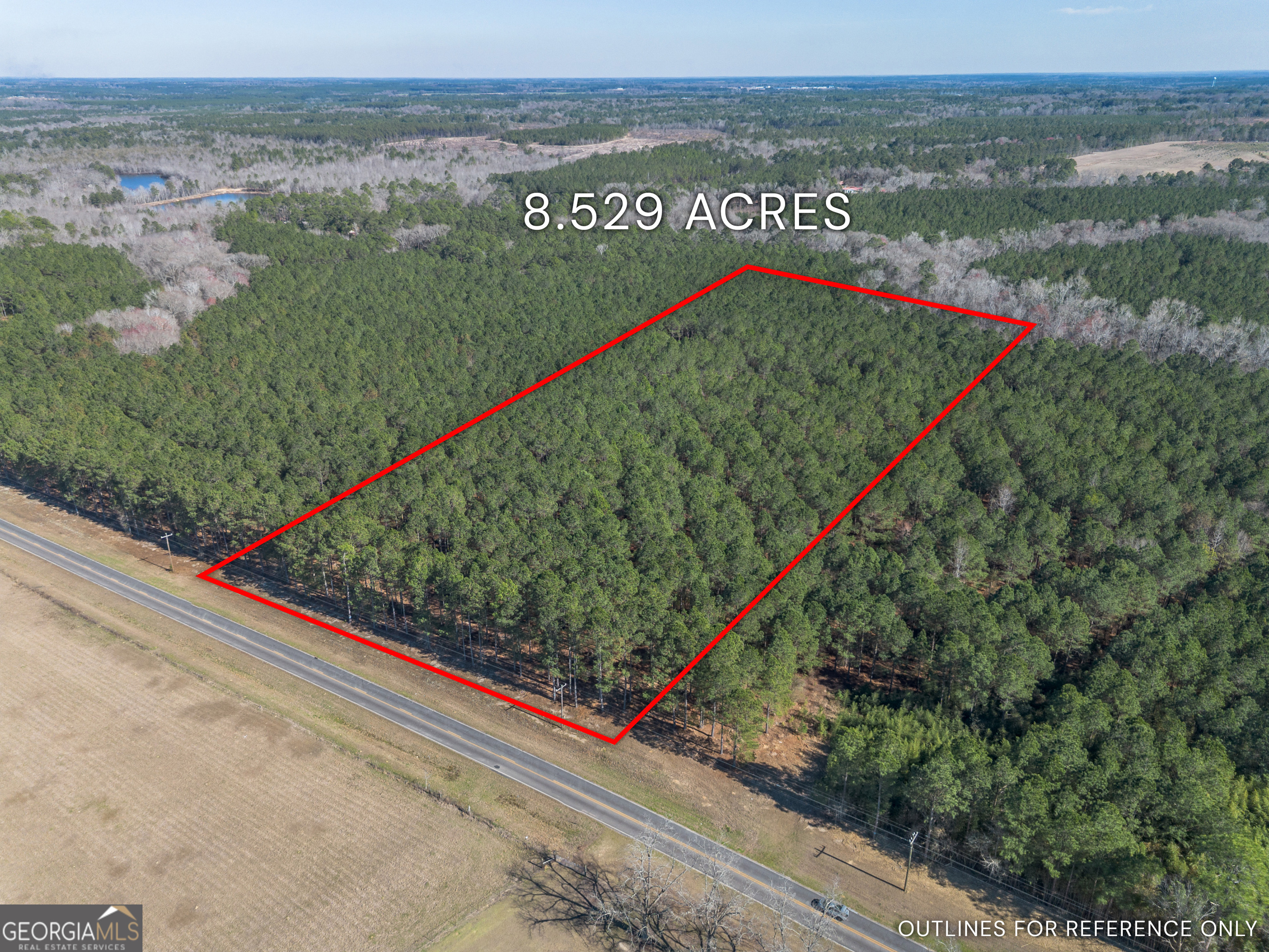 Lot 2 Ben Giddens Road Eastman GA 31023