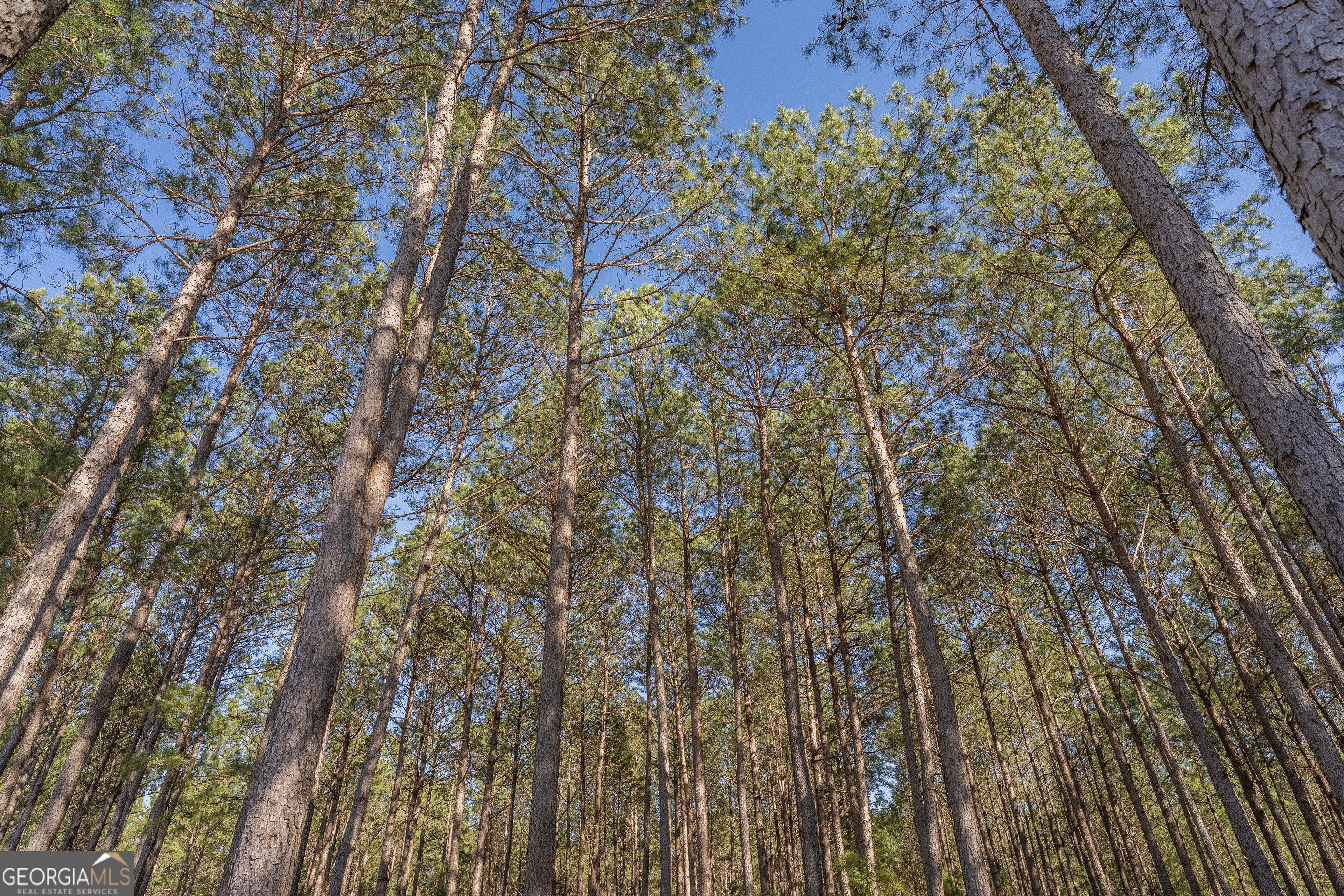 Lot 2 Ben Giddens Road Eastman GA 31023