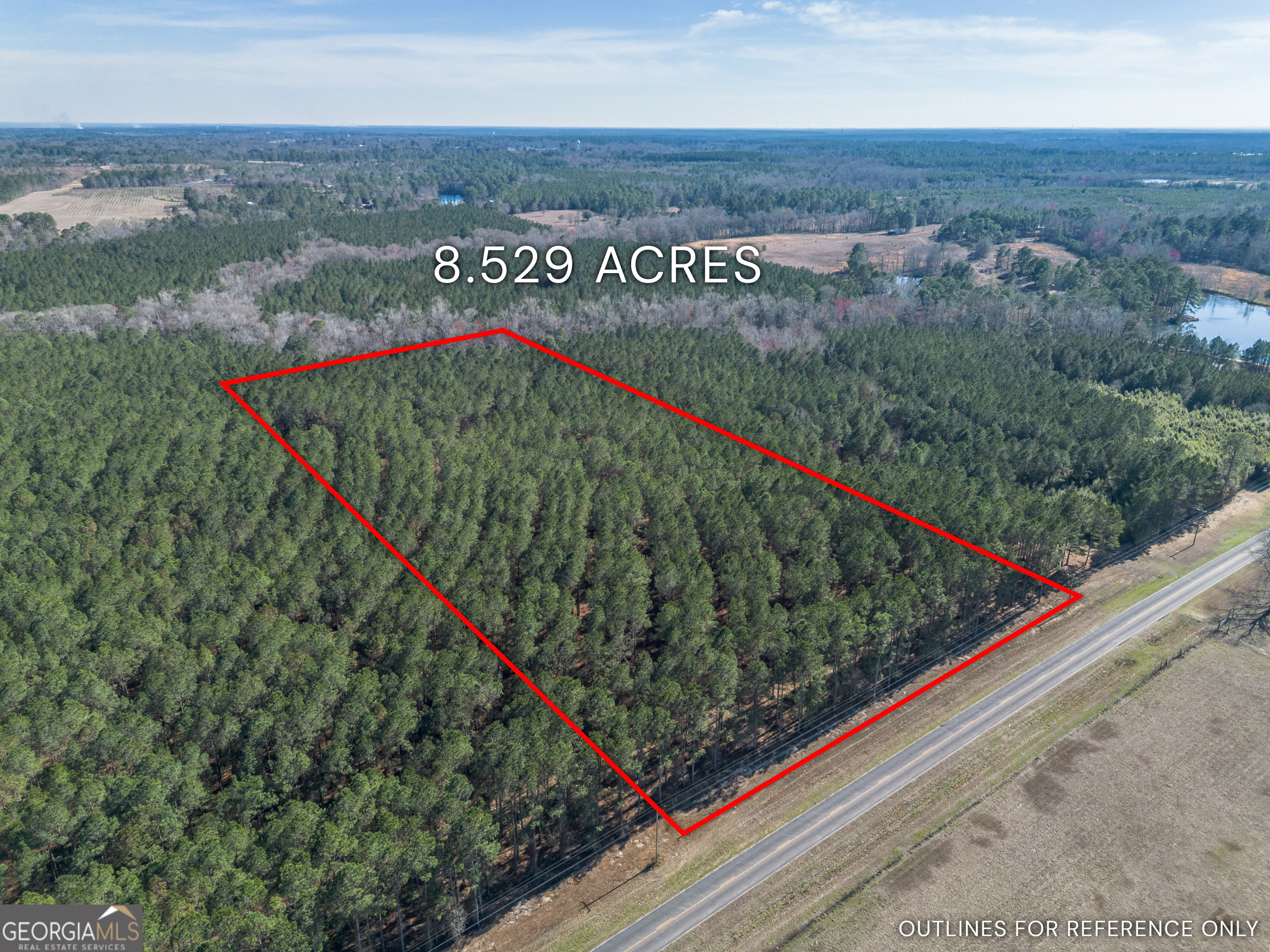 Lot 2 Ben Giddens Road Eastman GA 31023