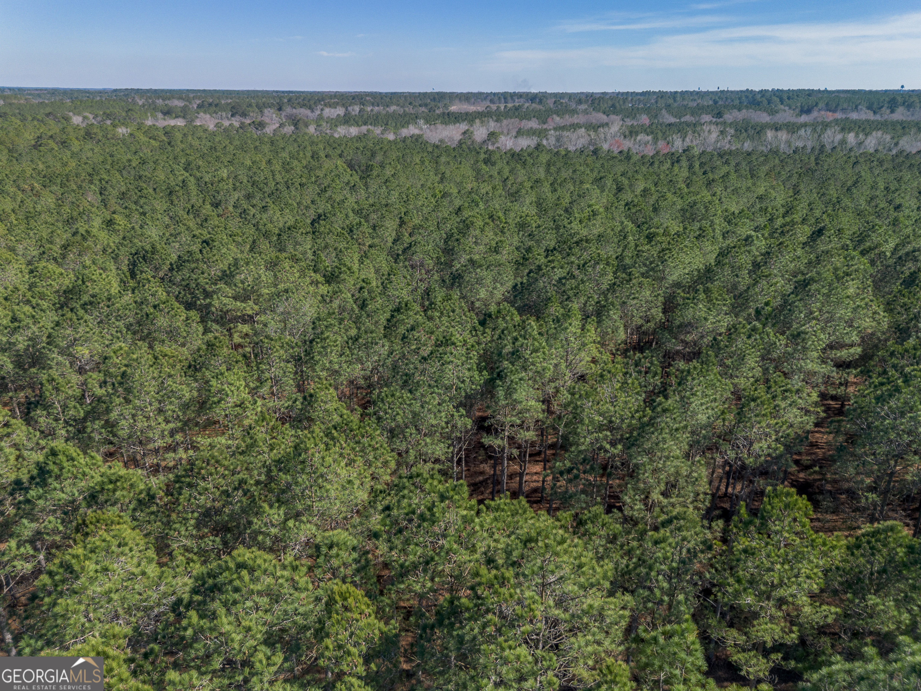 Lot 2 Ben Giddens Road Eastman GA 31023