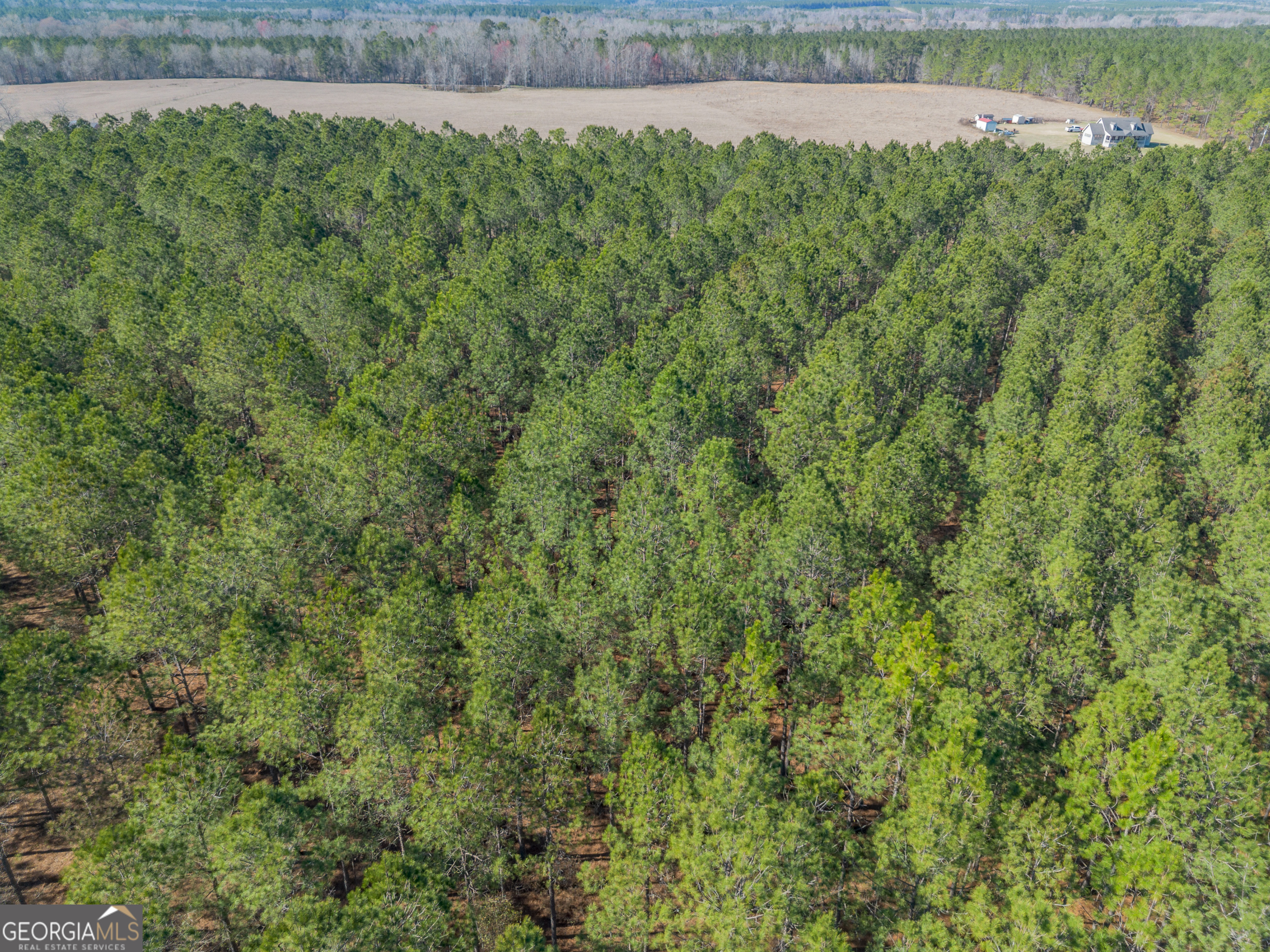 Lot 2 Ben Giddens Road Eastman GA 31023