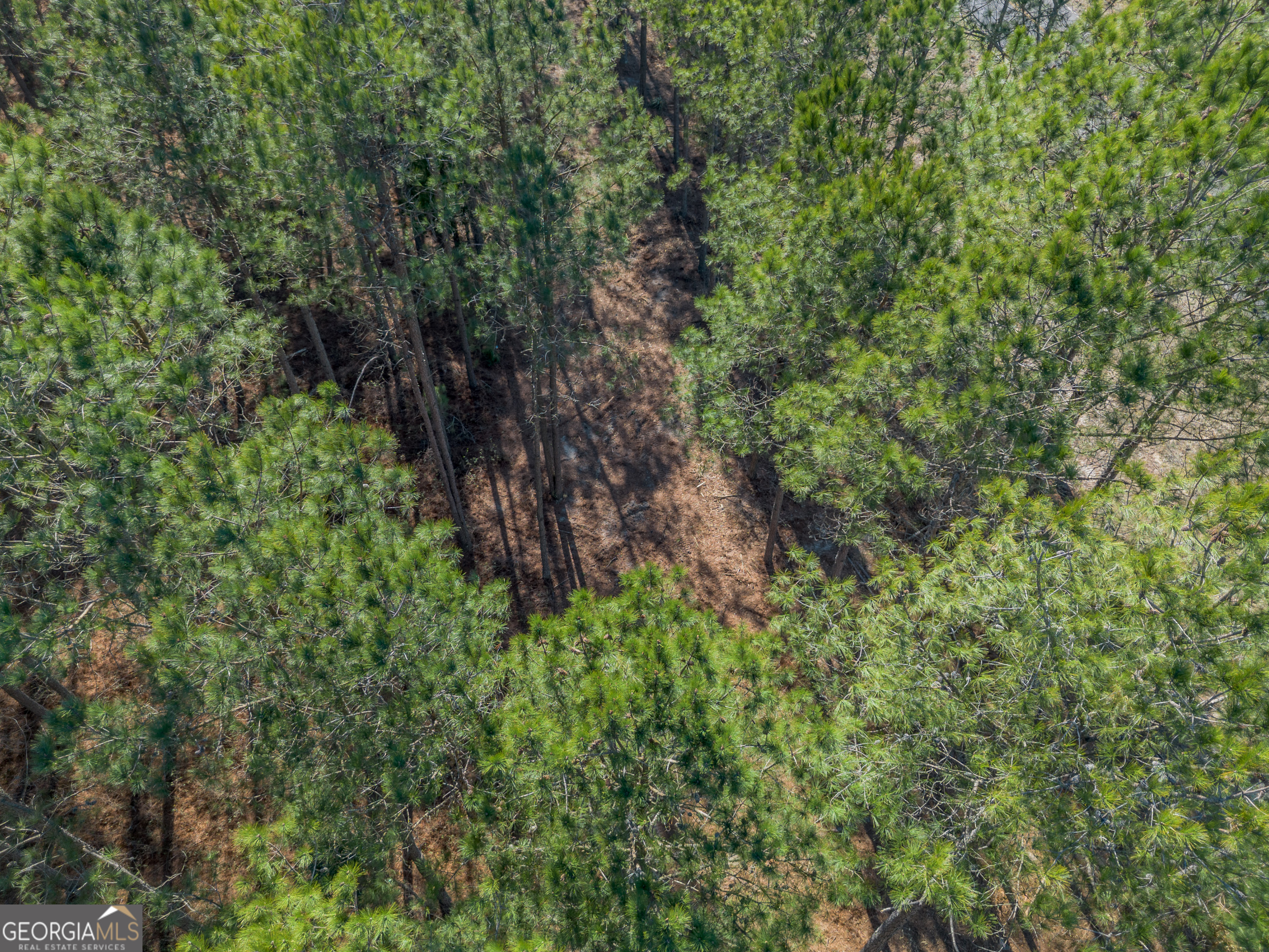 Lot 2 Ben Giddens Road Eastman GA 31023