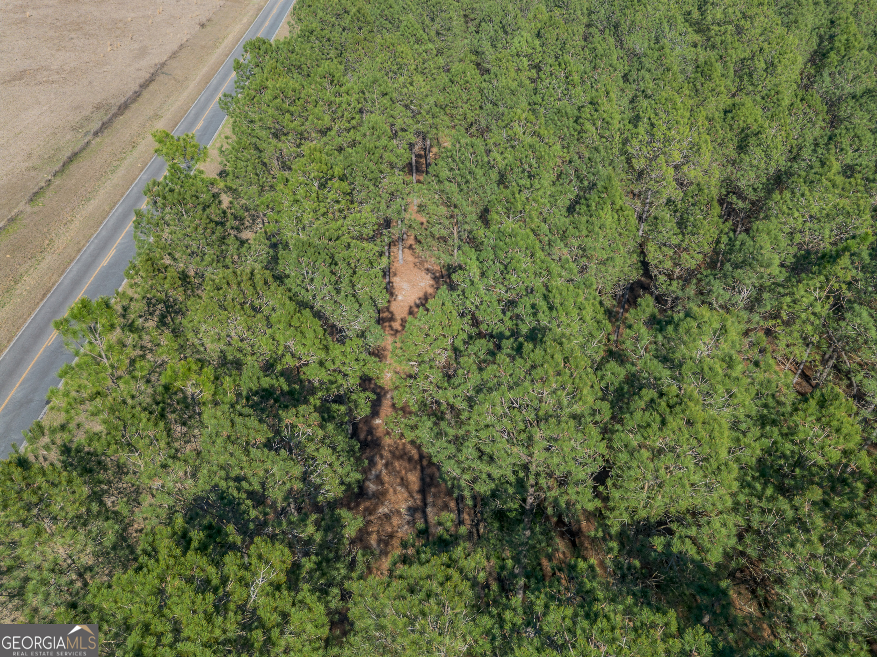 Lot 2 Ben Giddens Road Eastman GA 31023