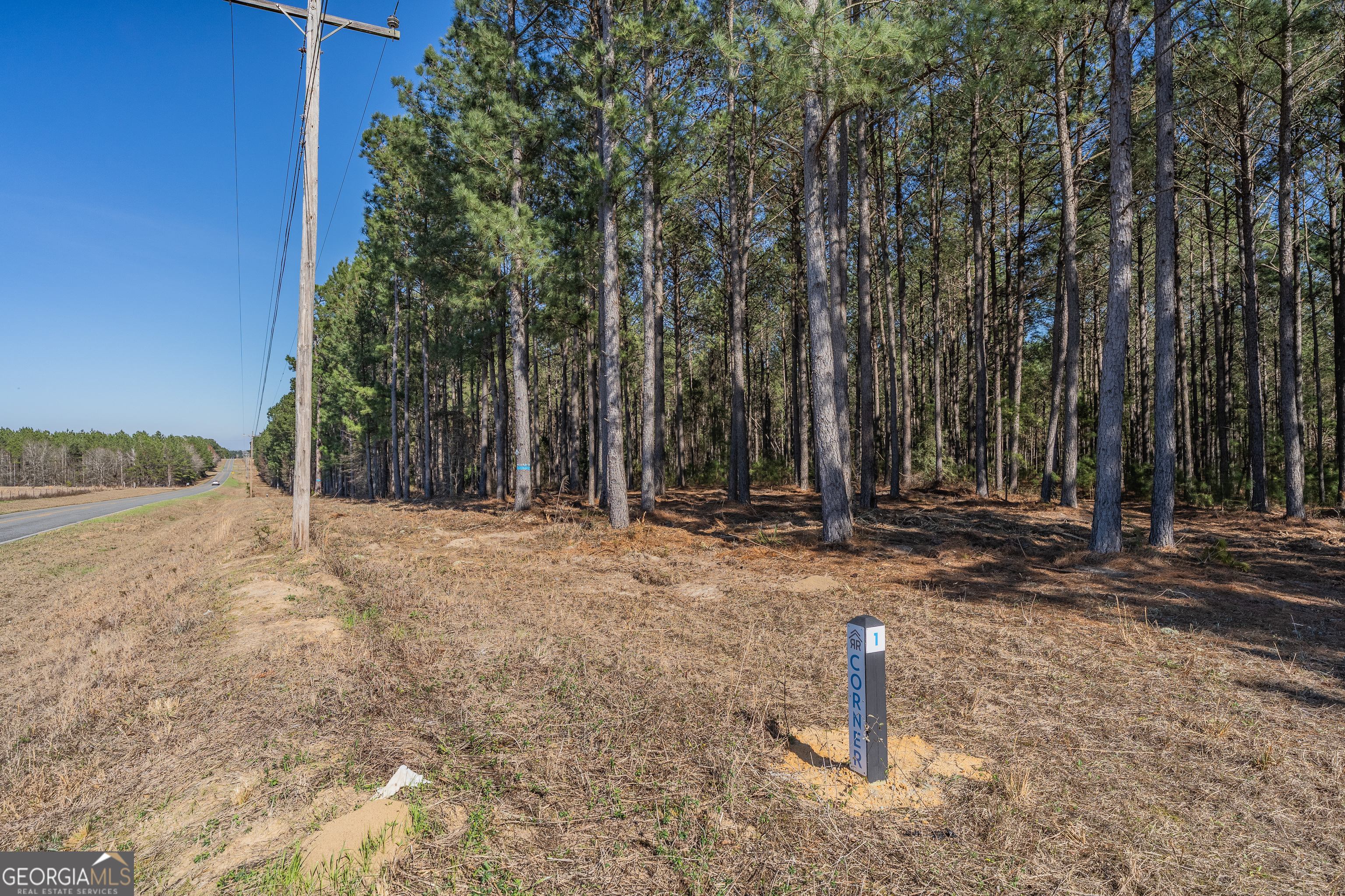 Lot 2 Ben Giddens Road Eastman GA 31023