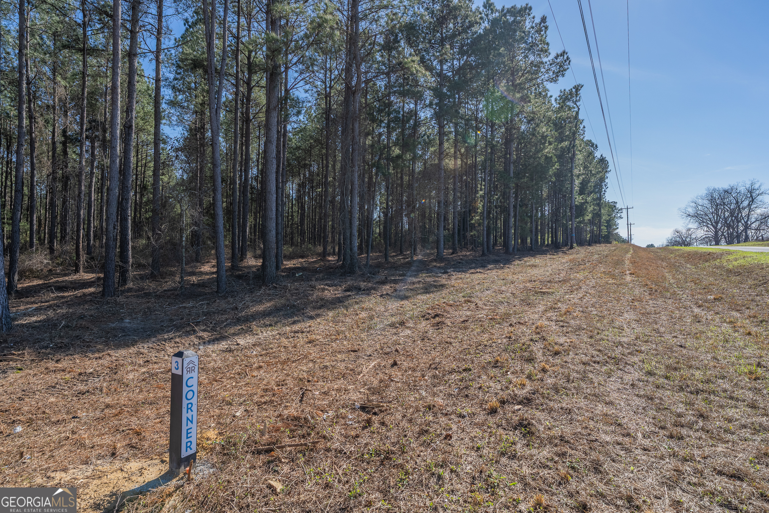 Lot 2 Ben Giddens Road Eastman GA 31023