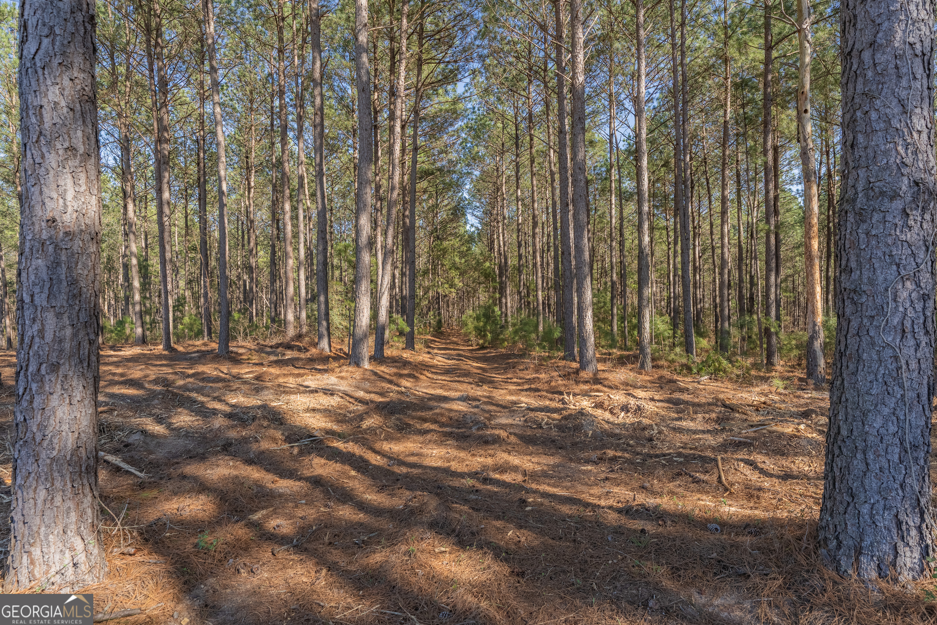 Lot 2 Ben Giddens Road Eastman GA 31023