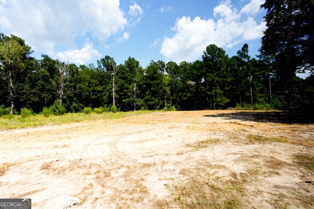 3480 Highway 56 N Waynesboro GA 30830