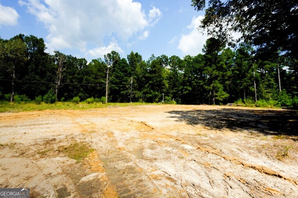 3480 Highway 56 N Waynesboro GA 30830