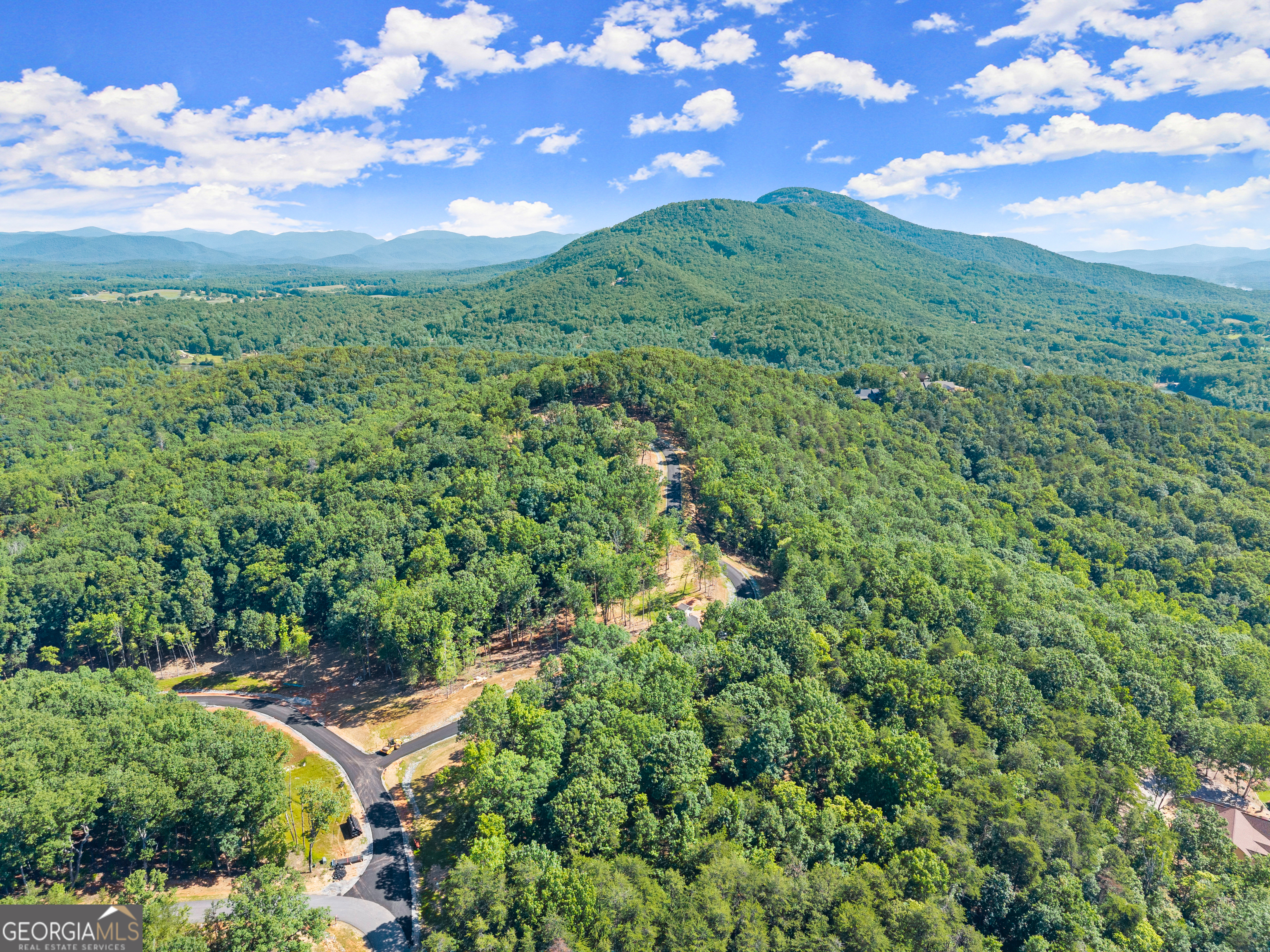 58 Chimney Oaks Trail Cleveland GA 30528