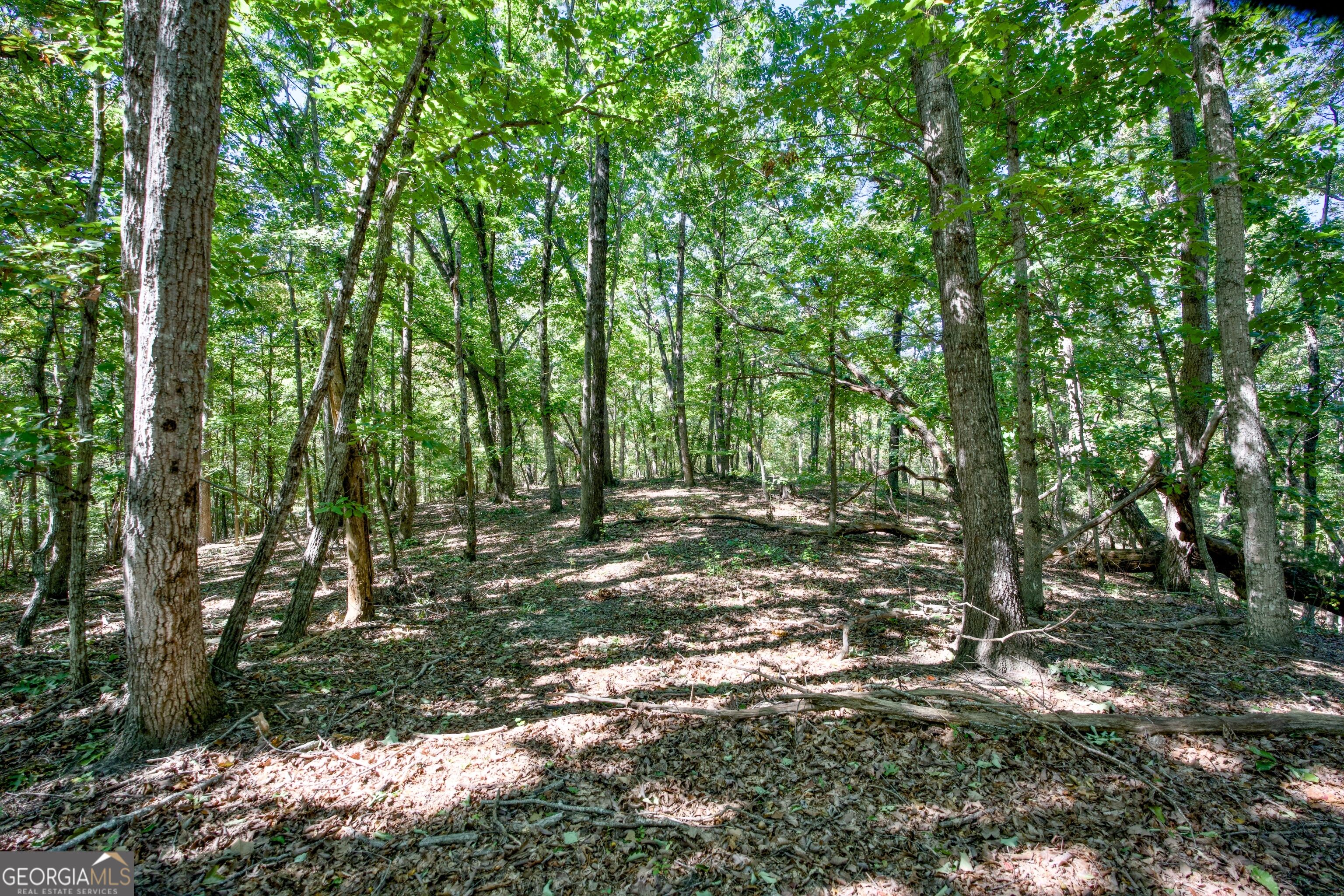52 Ac Soapstone Road Baldwin GA 30511