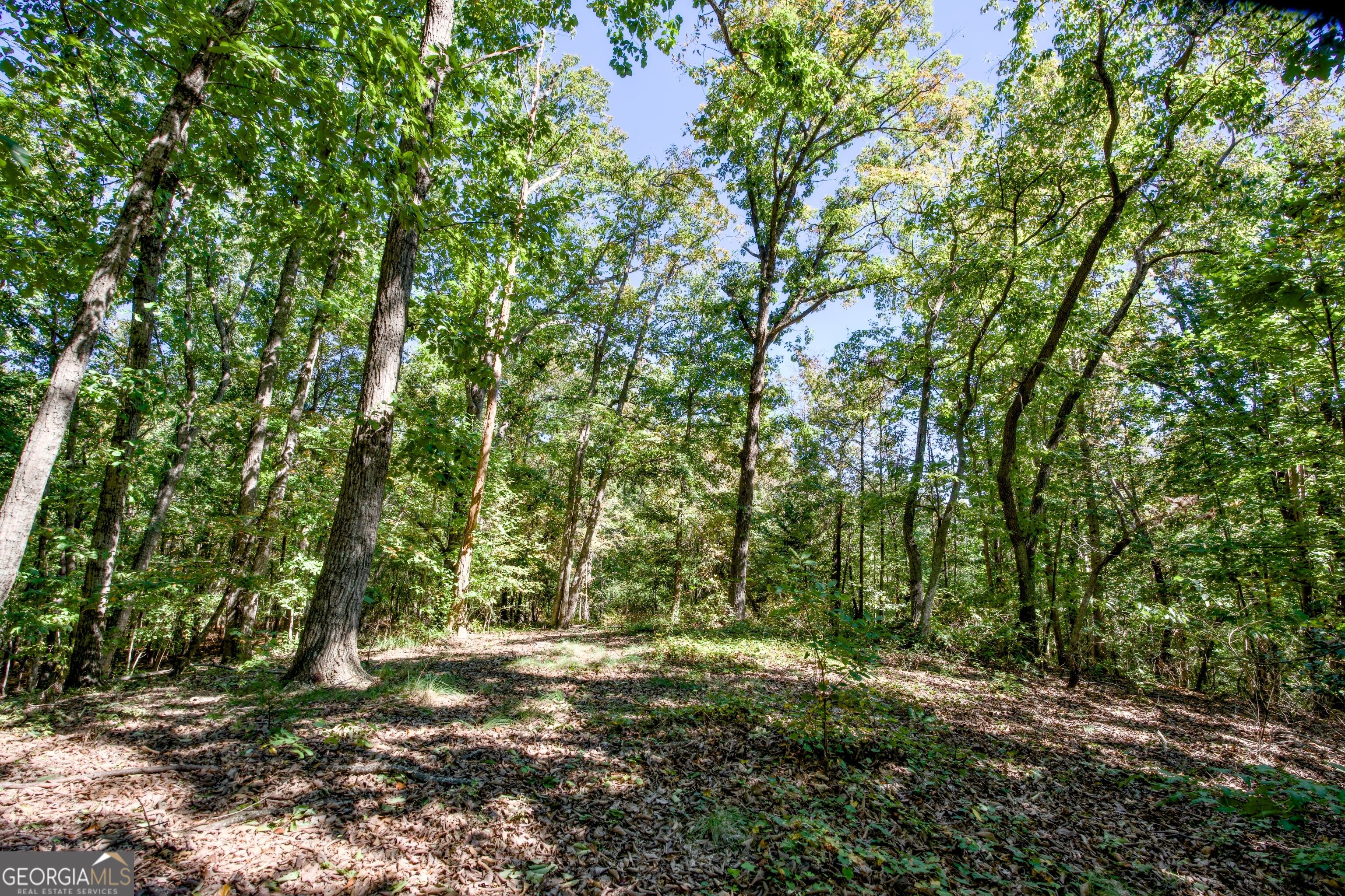 52 Ac Soapstone Road Baldwin GA 30511