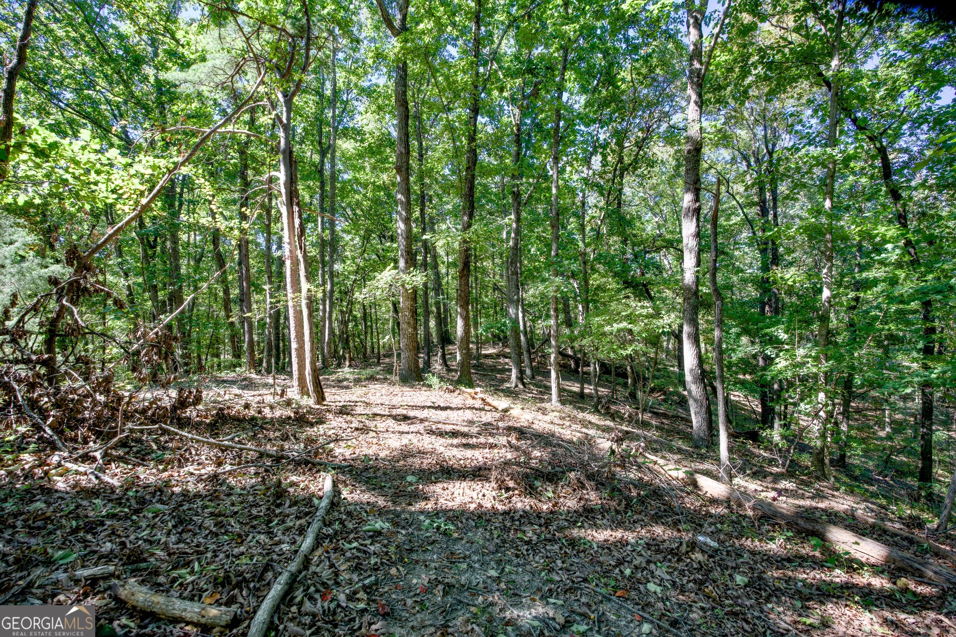 52 Ac Soapstone Road Baldwin GA 30511