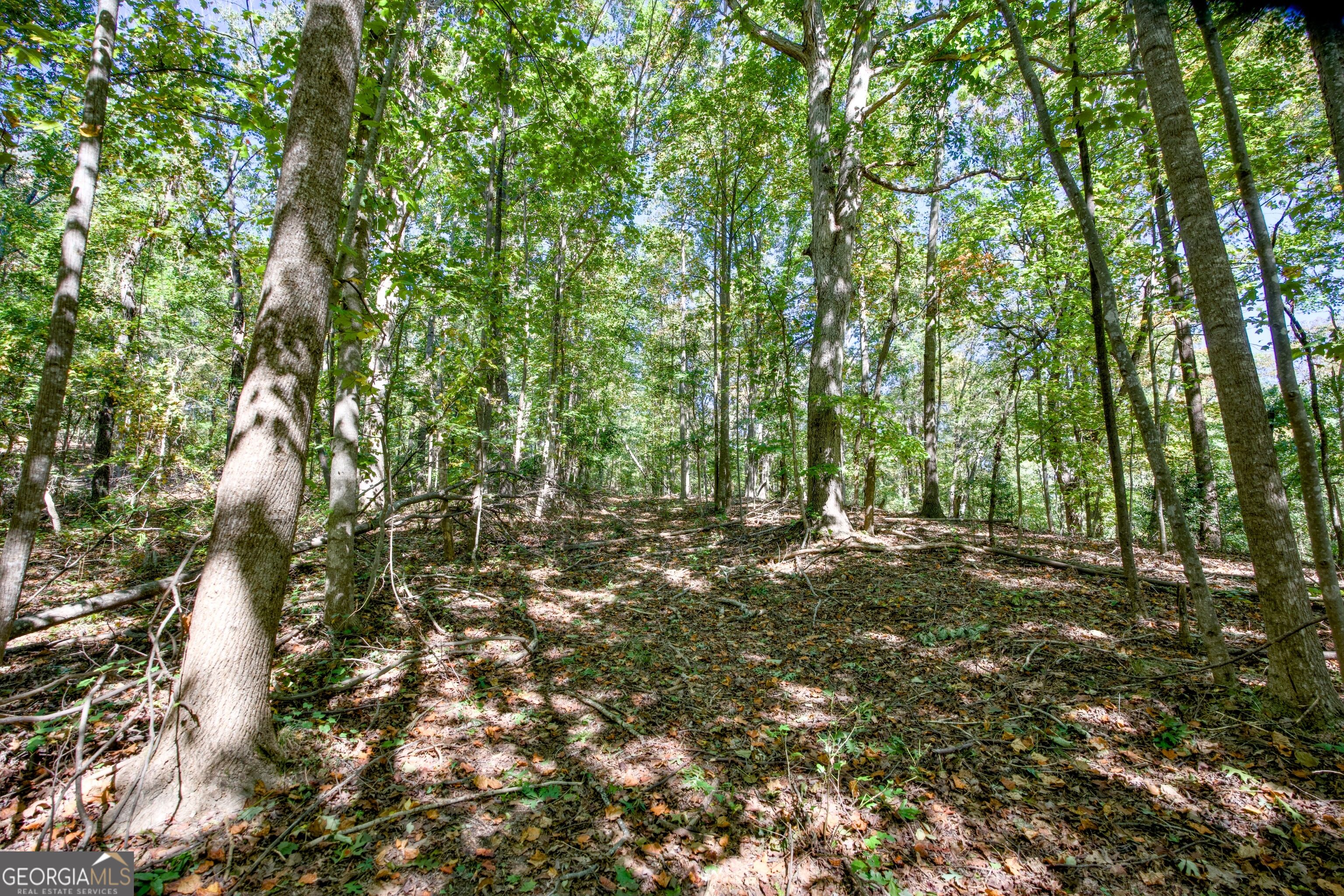 52 Ac Soapstone Road Baldwin GA 30511