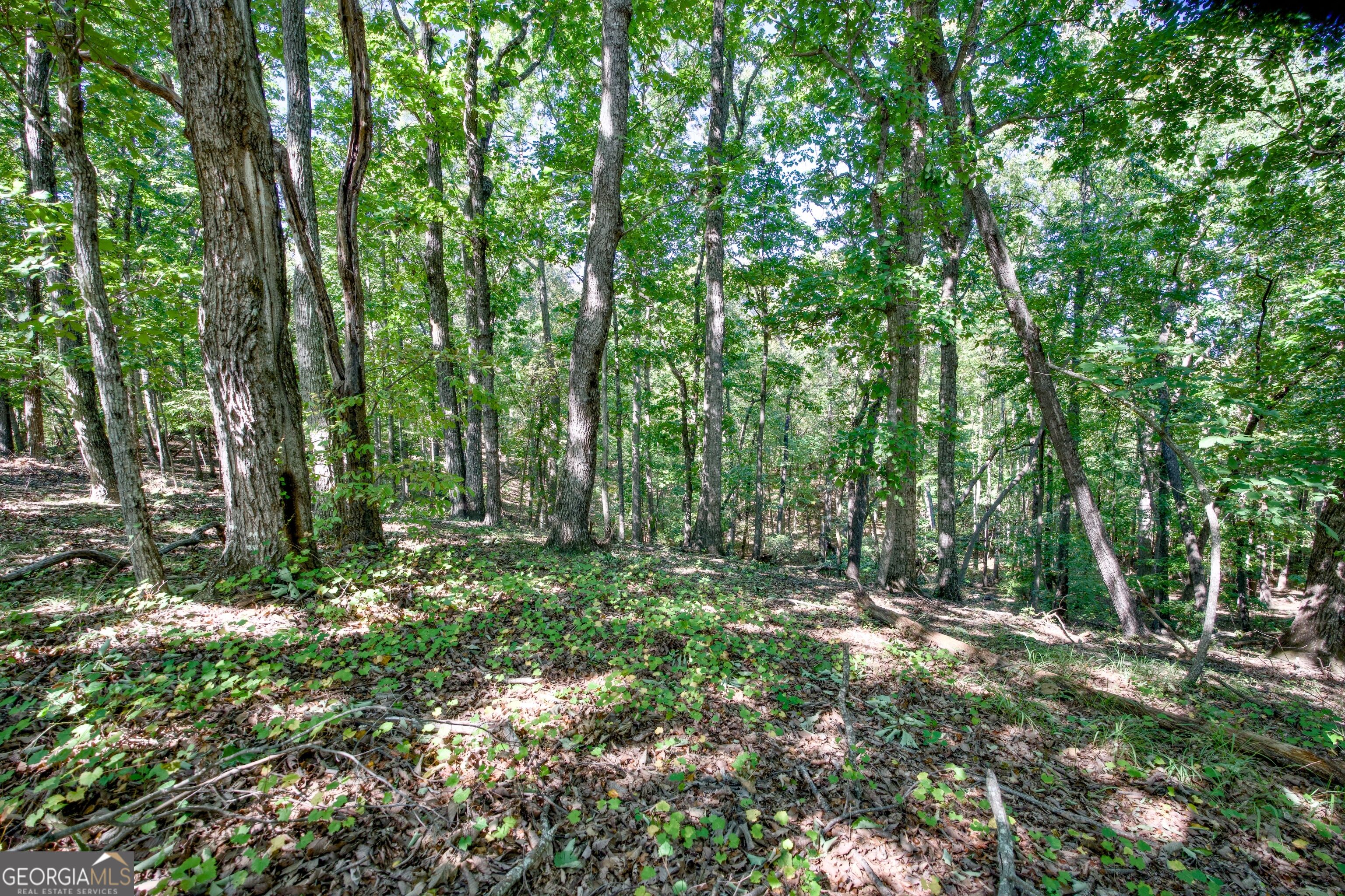 52 Ac Soapstone Road Baldwin GA 30511