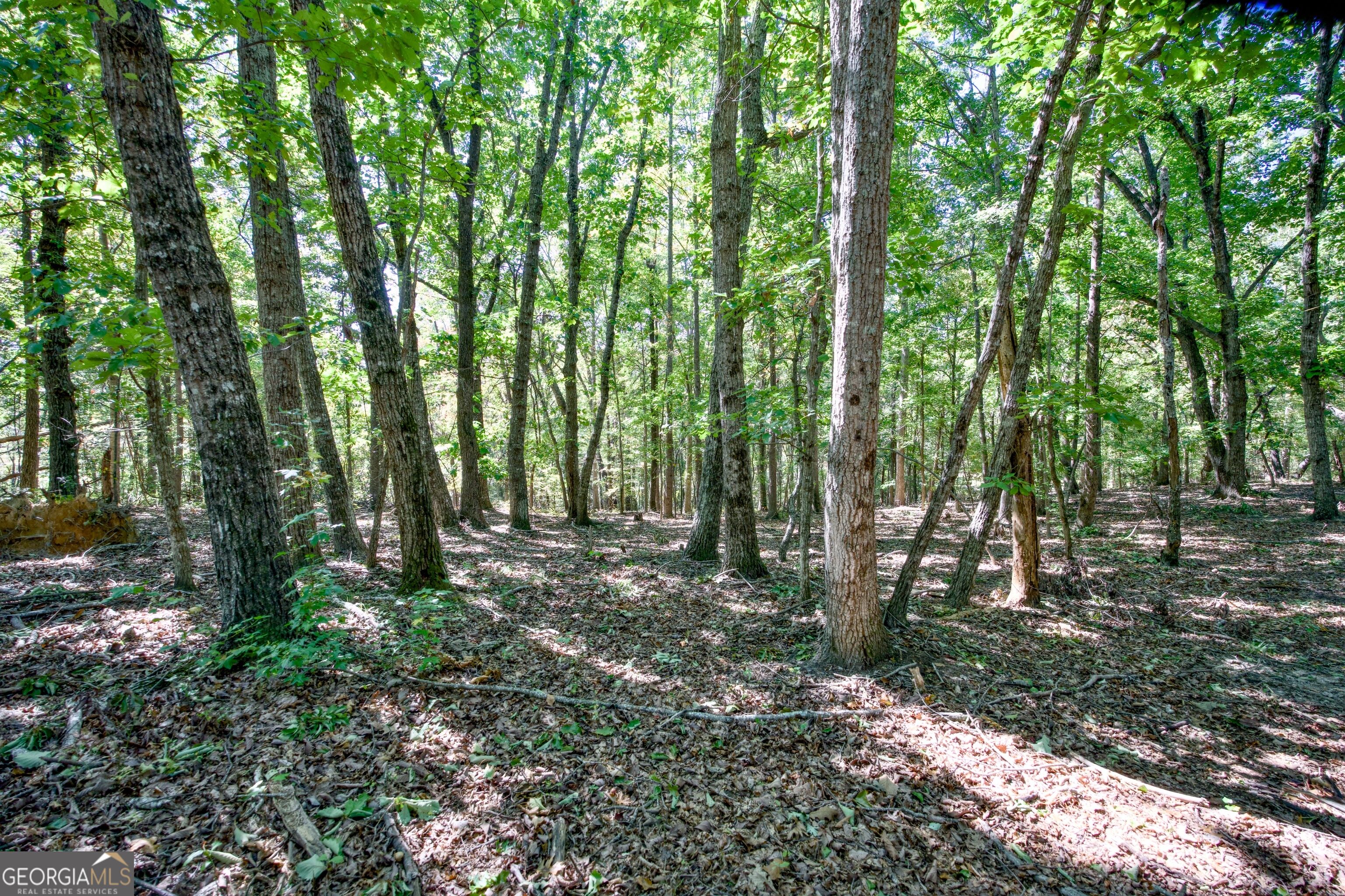 52 Ac Soapstone Road Baldwin GA 30511