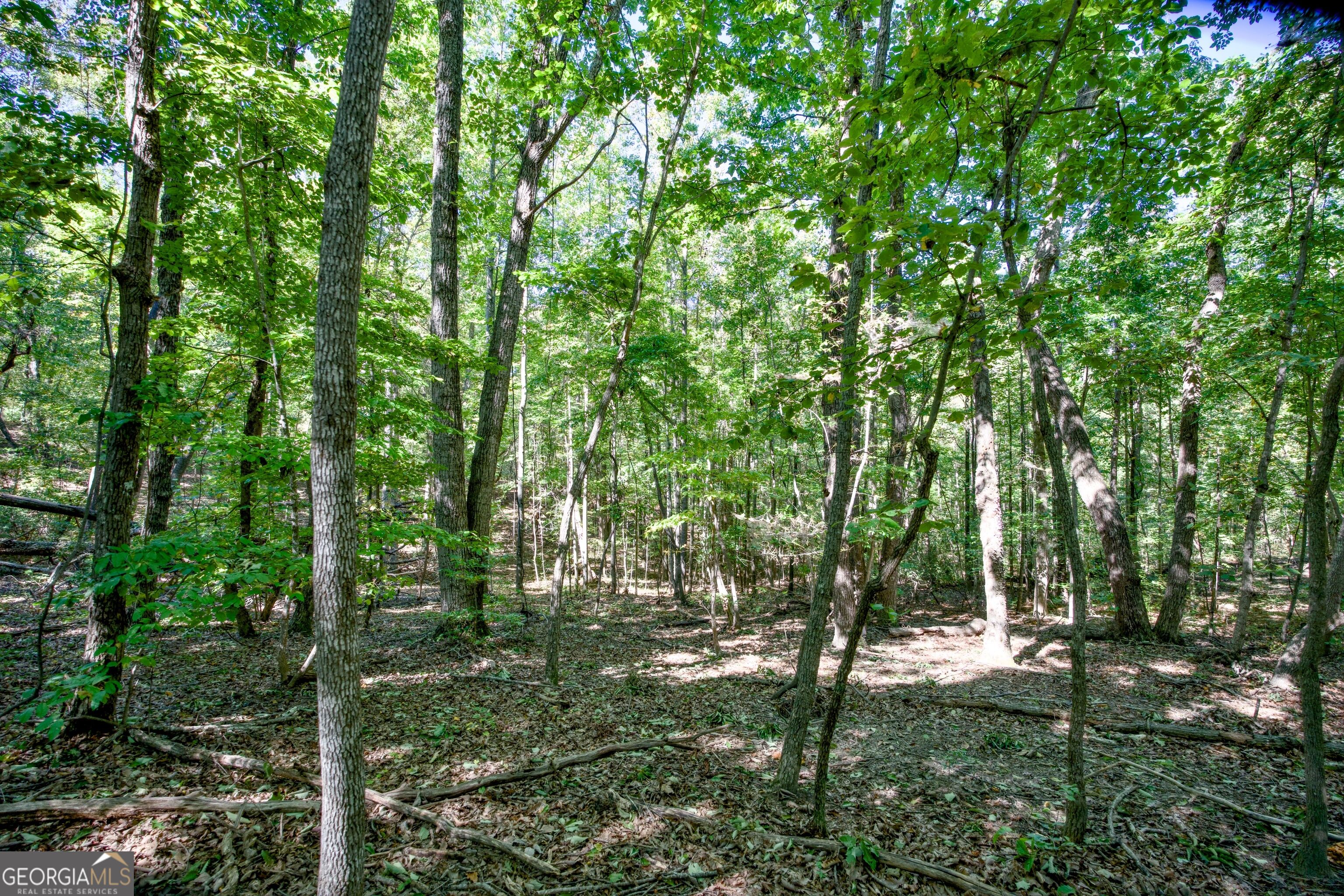 52 Ac Soapstone Road Baldwin GA 30511